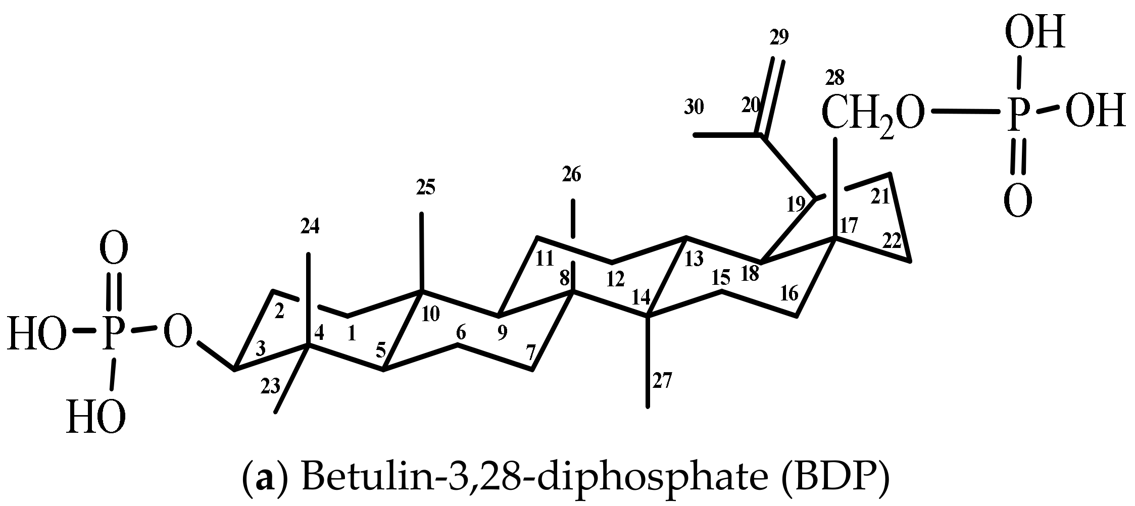 Scipharm 86 00017 g001a