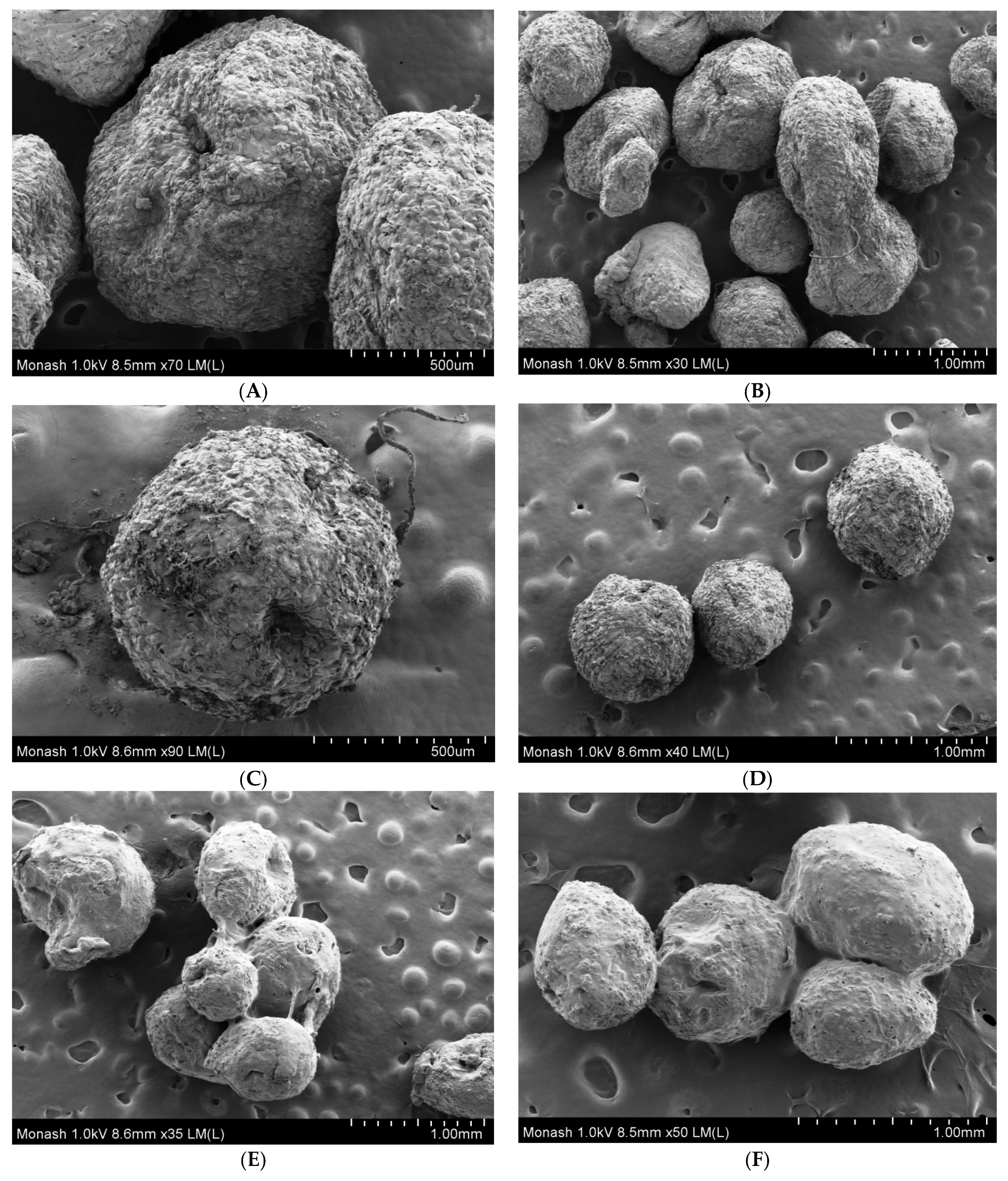 Scipharm 86 00024 g003