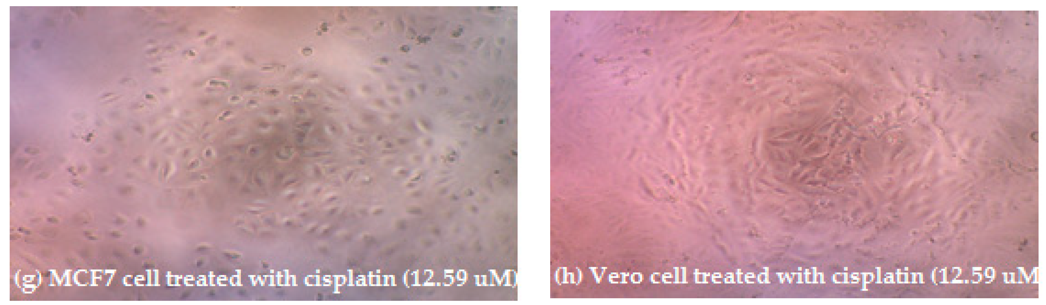 Scipharm 86 00025 g002b