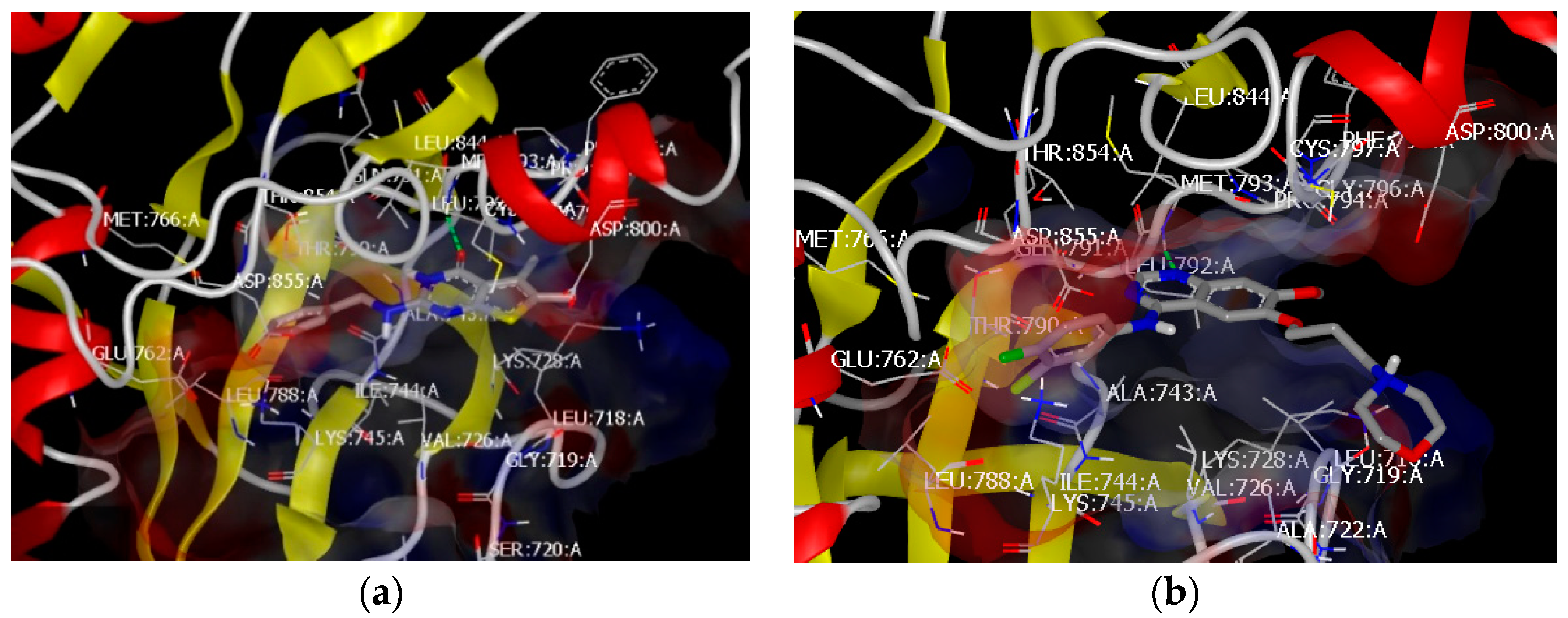 Scipharm 86 00028 g003