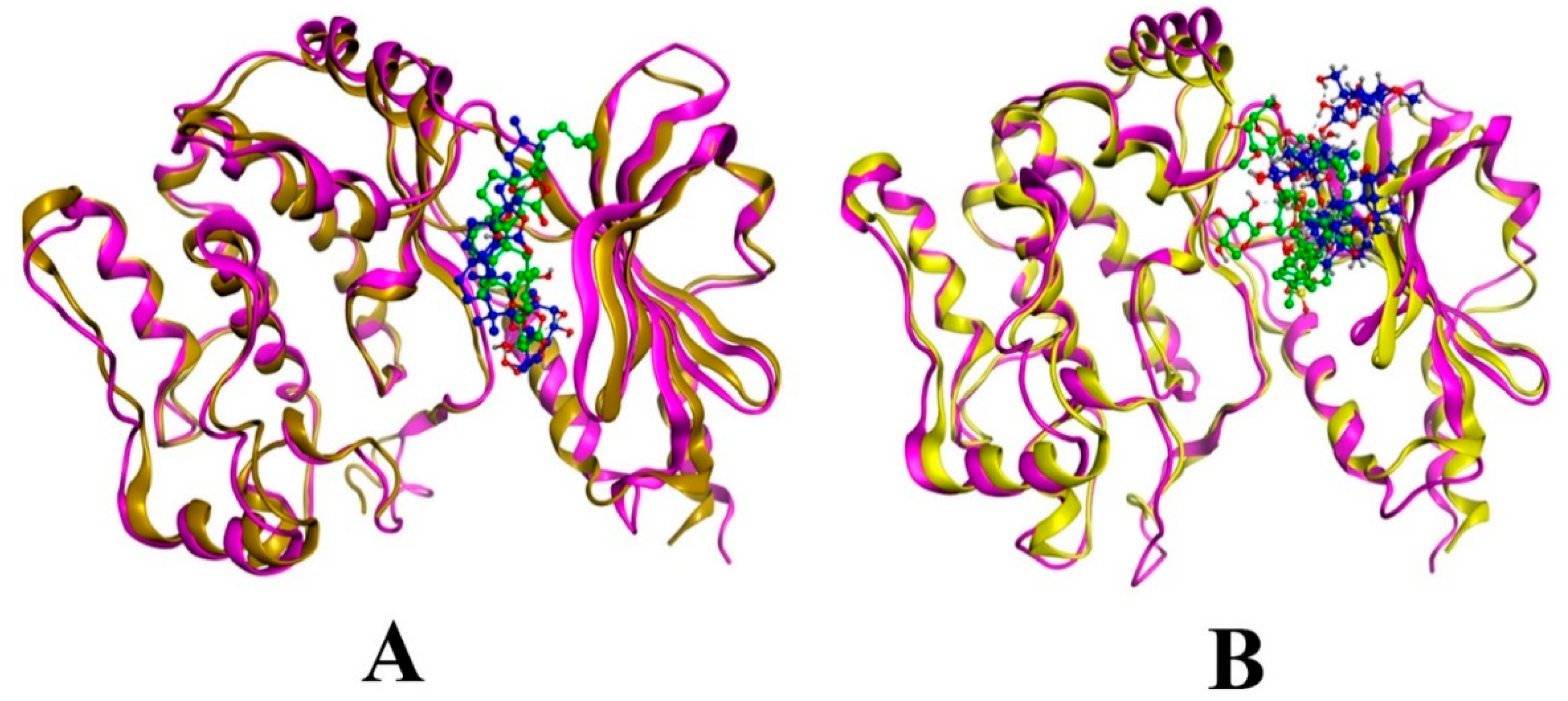 Scipharm 86 00032 g006