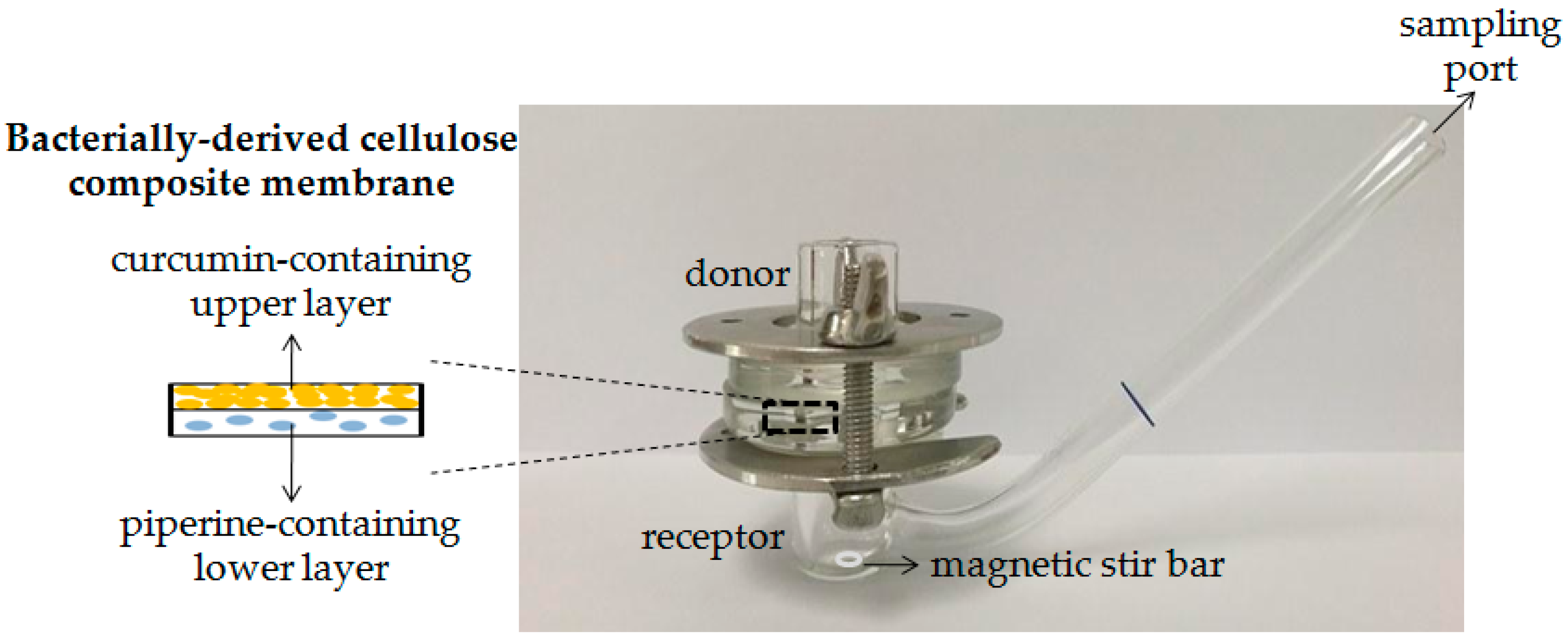 Scipharm 86 00039 g001 Scipharm 86 00039 g001