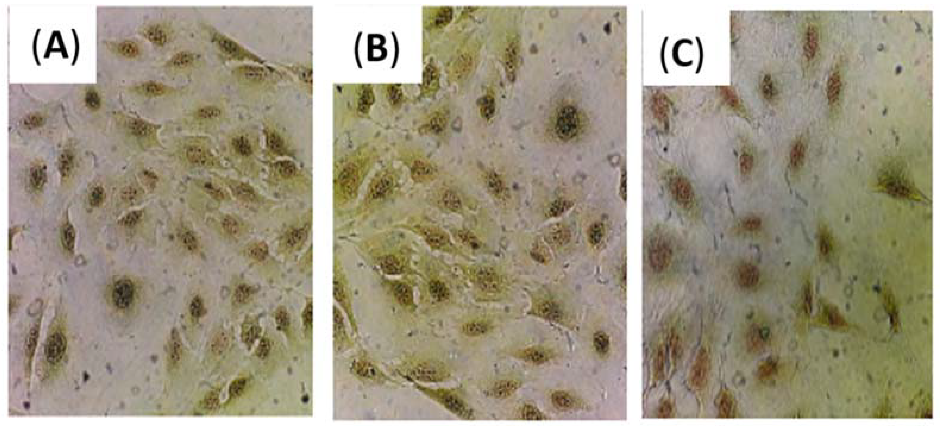 Scipharm 86 00041 g007