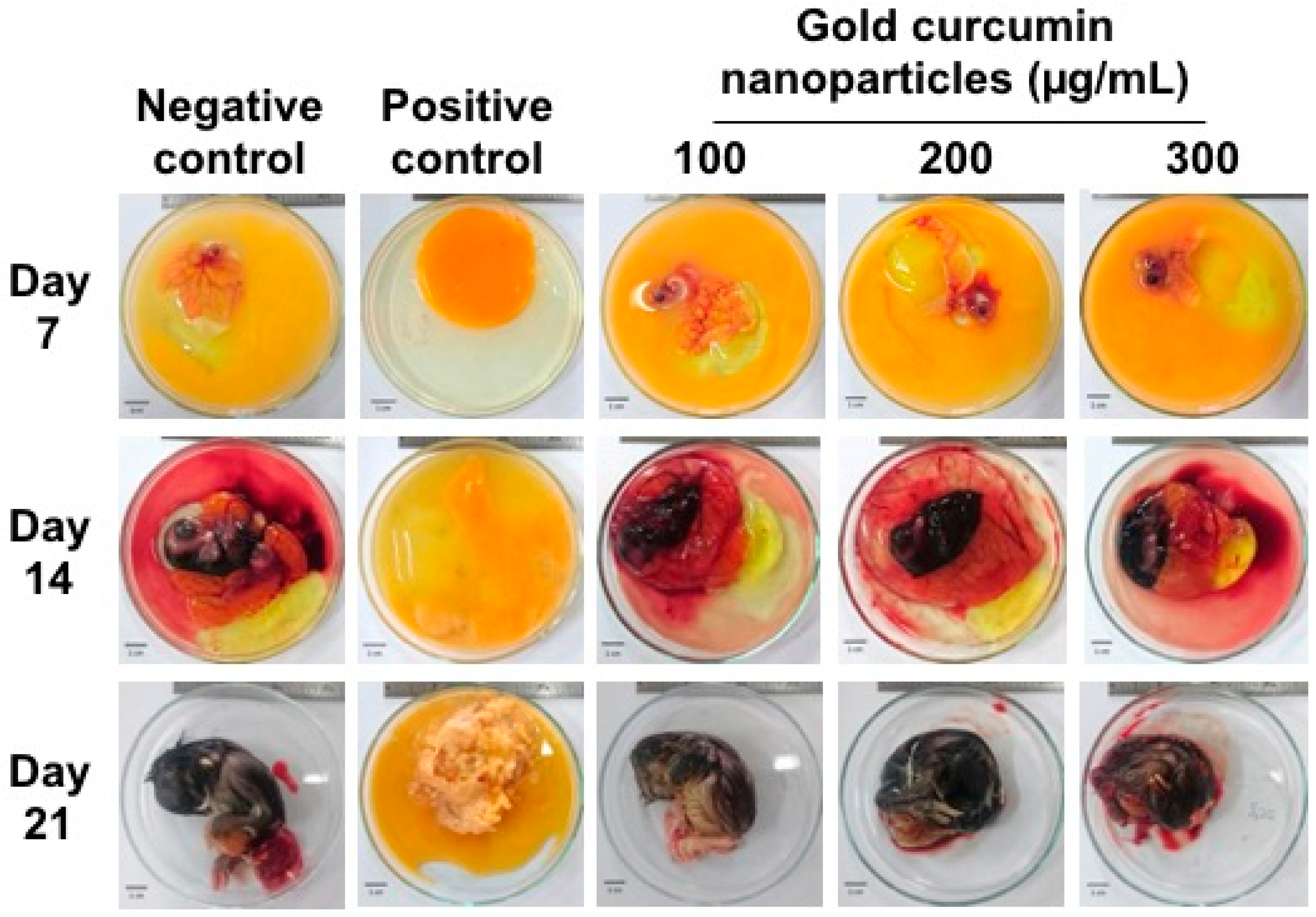 Scipharm 86 00041 g010