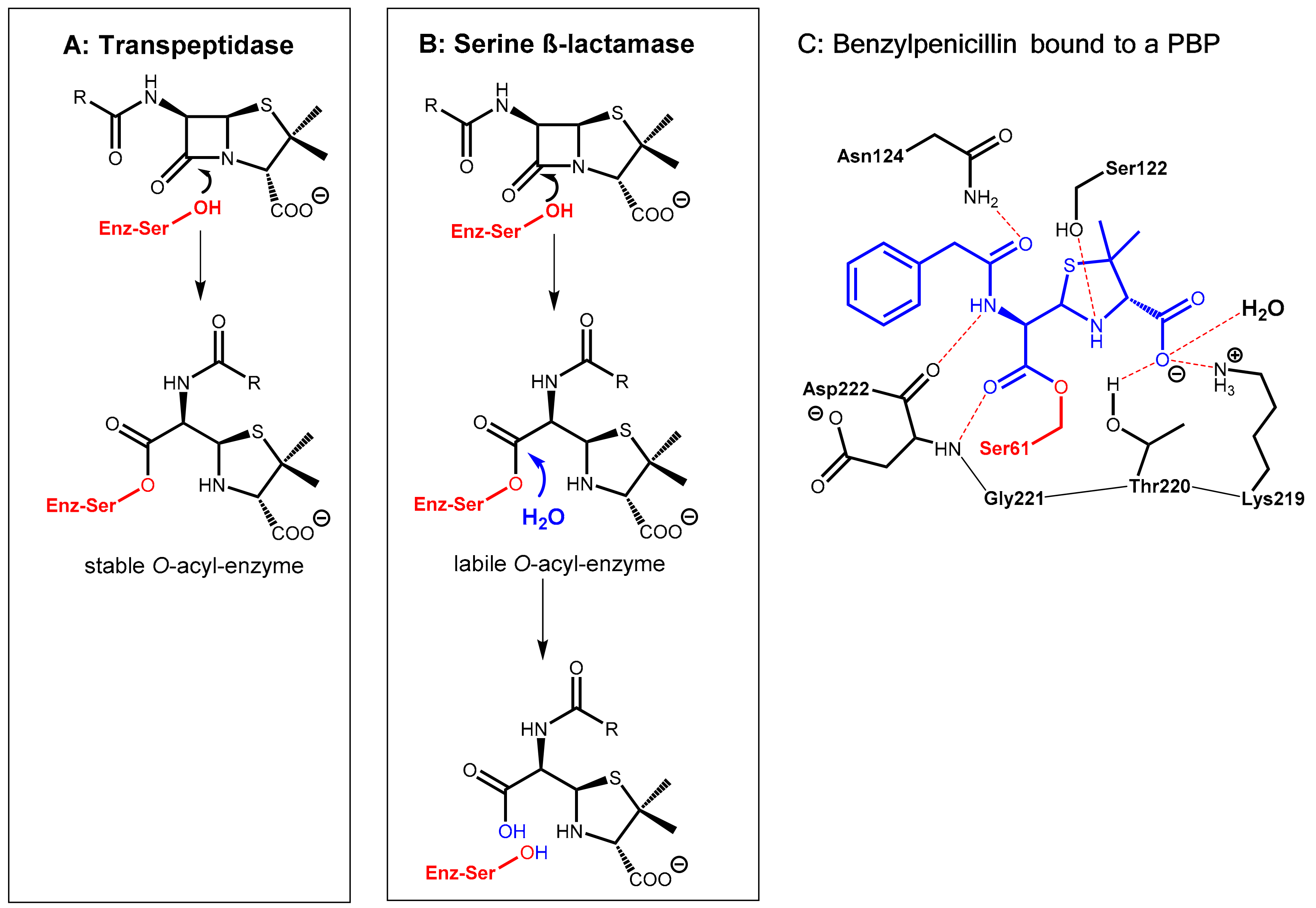 Scipharm 86 00043 g001