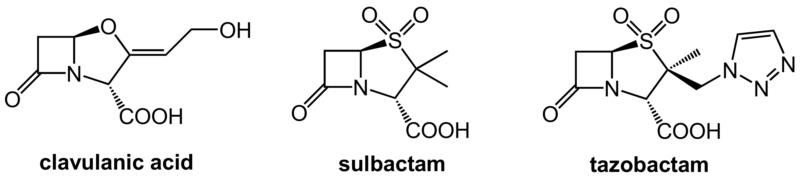 Scipharm 86 00043 g002