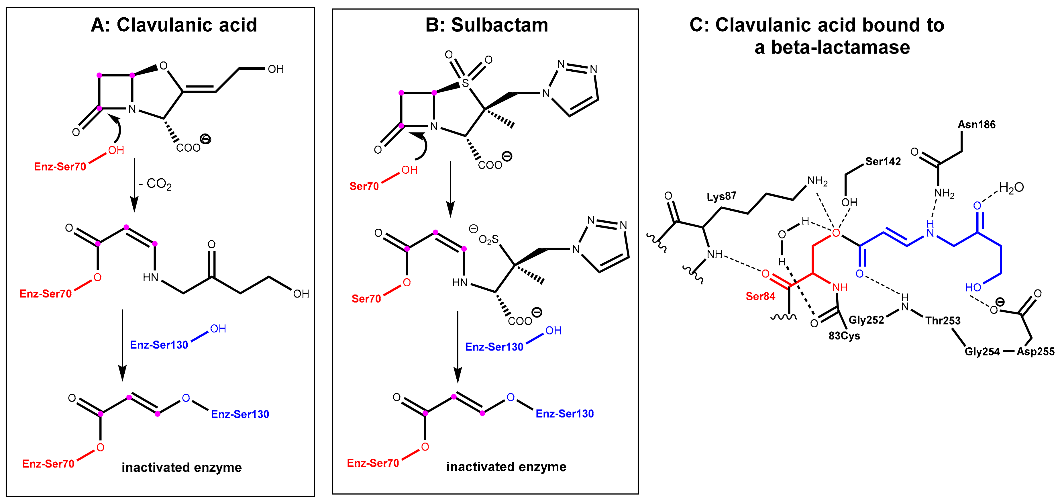 Scipharm 86 00043 g003