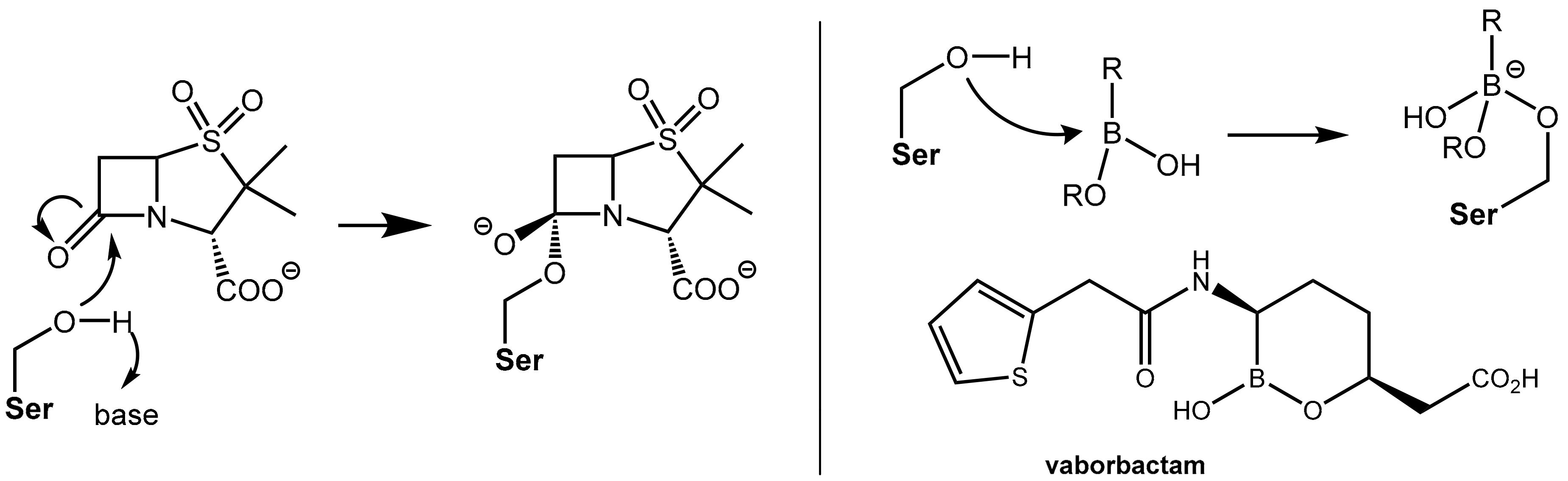 Scipharm 86 00043 g006