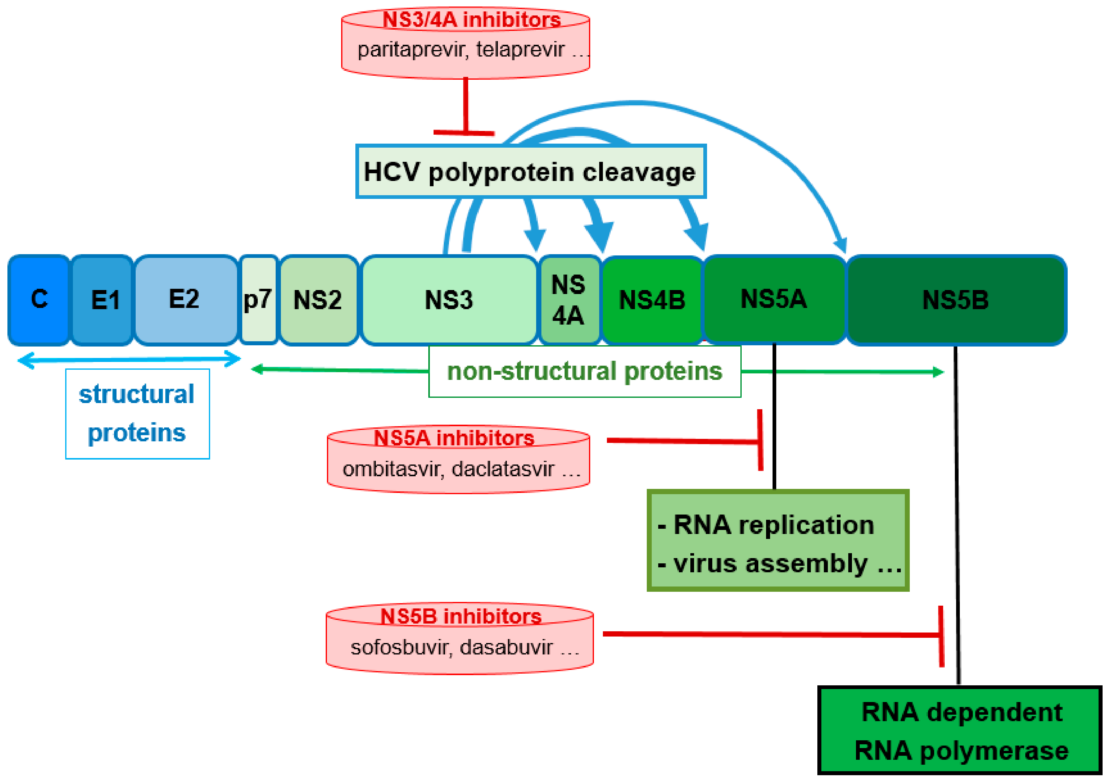 Scipharm 86 00043 g012