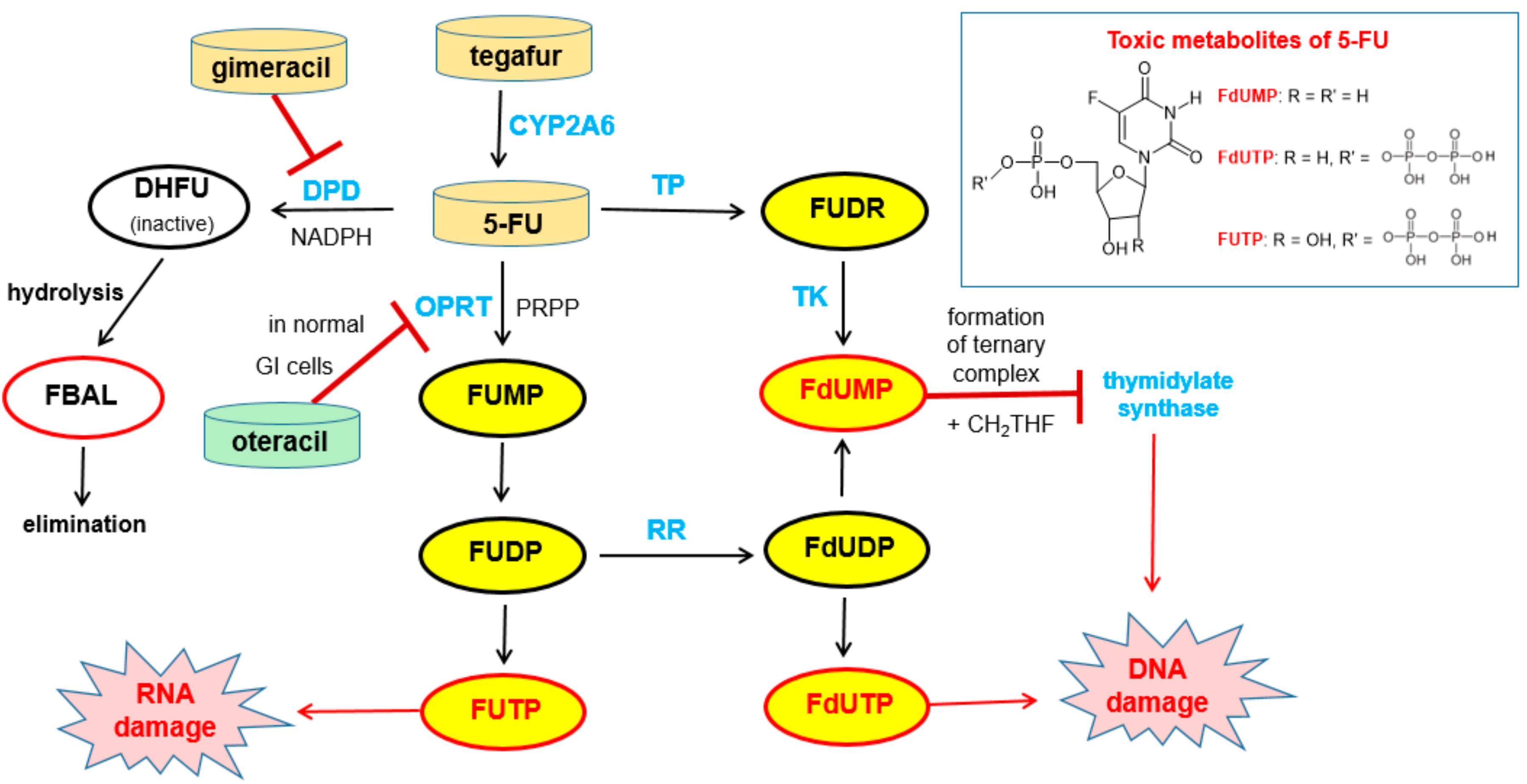 Scipharm 86 00043 g016