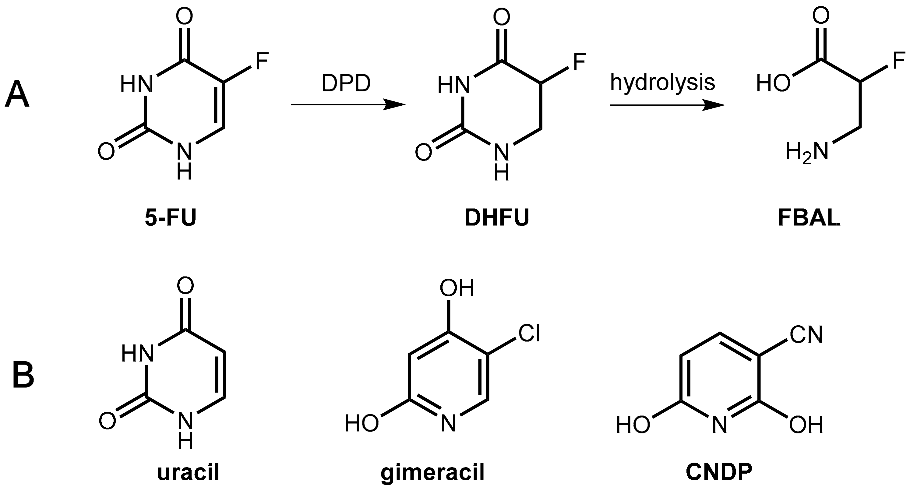 Scipharm 86 00043 g017
