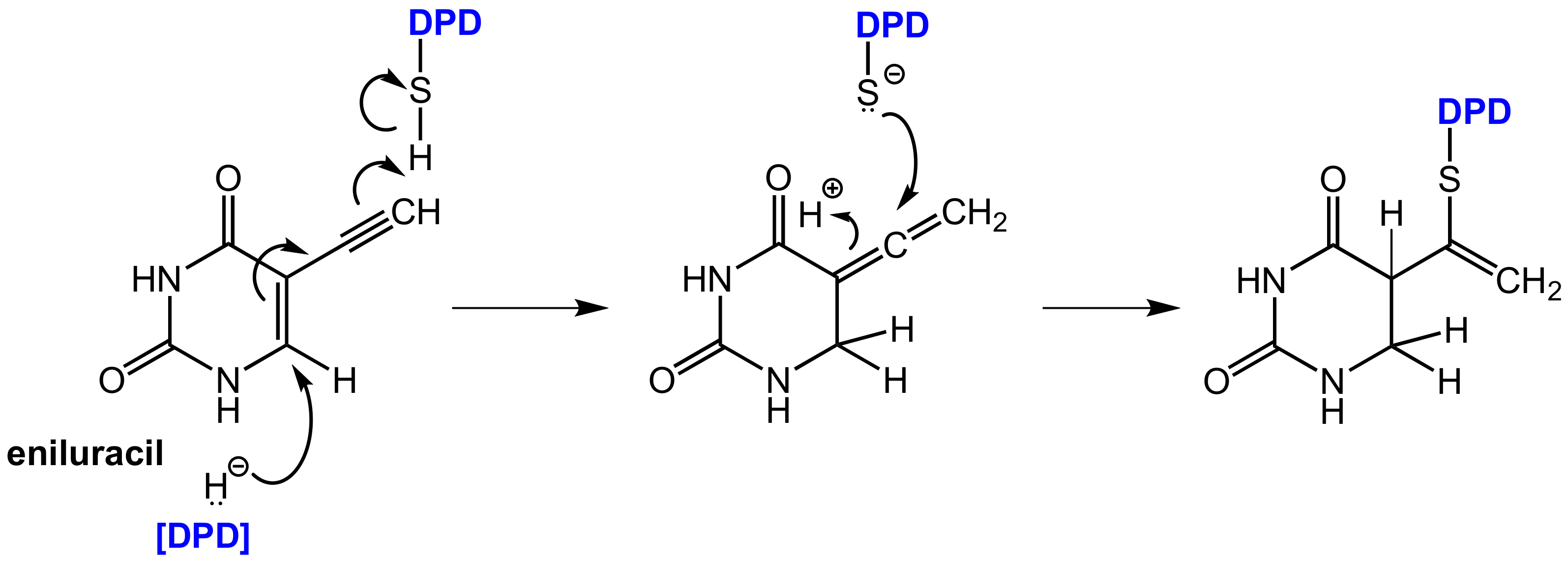 Scipharm 86 00043 g018