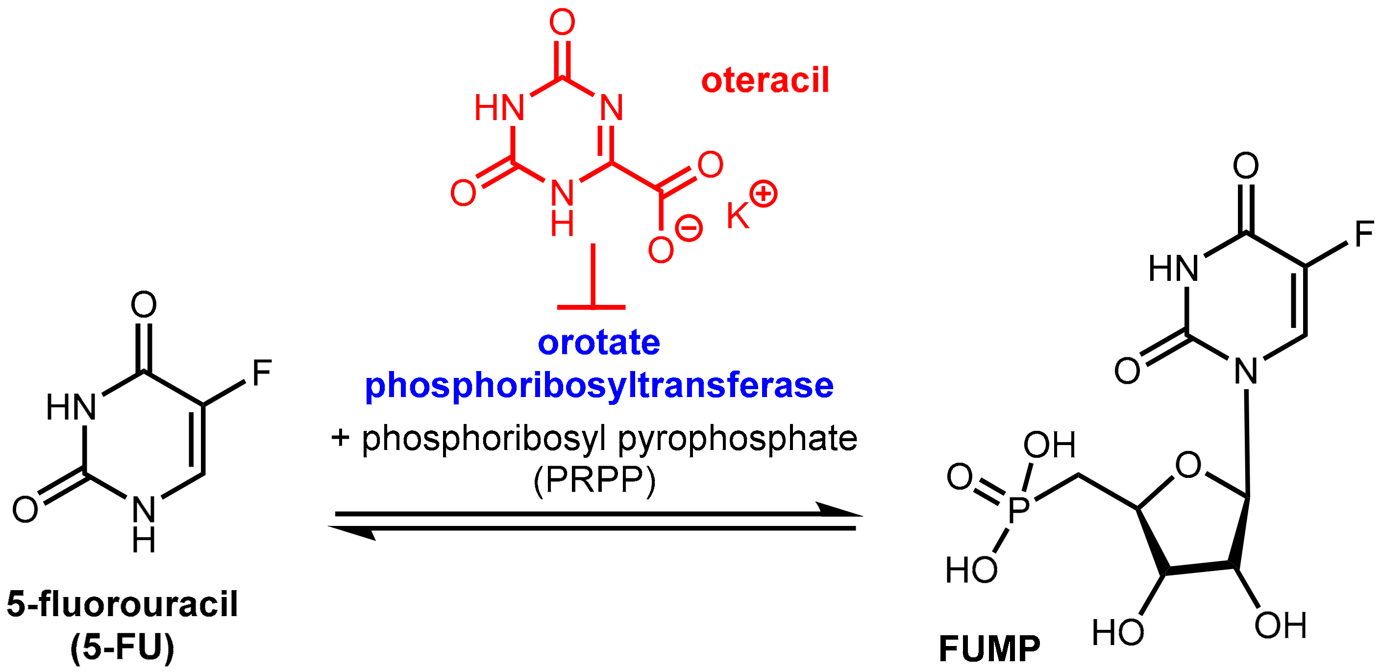 Scipharm 86 00043 g020