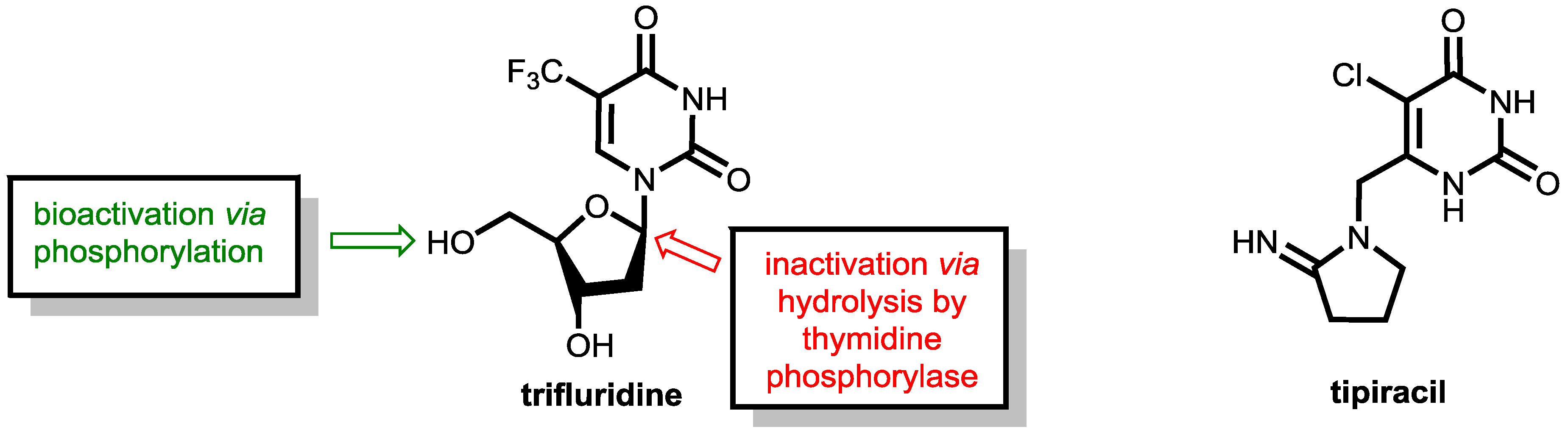 Scipharm 86 00043 g021