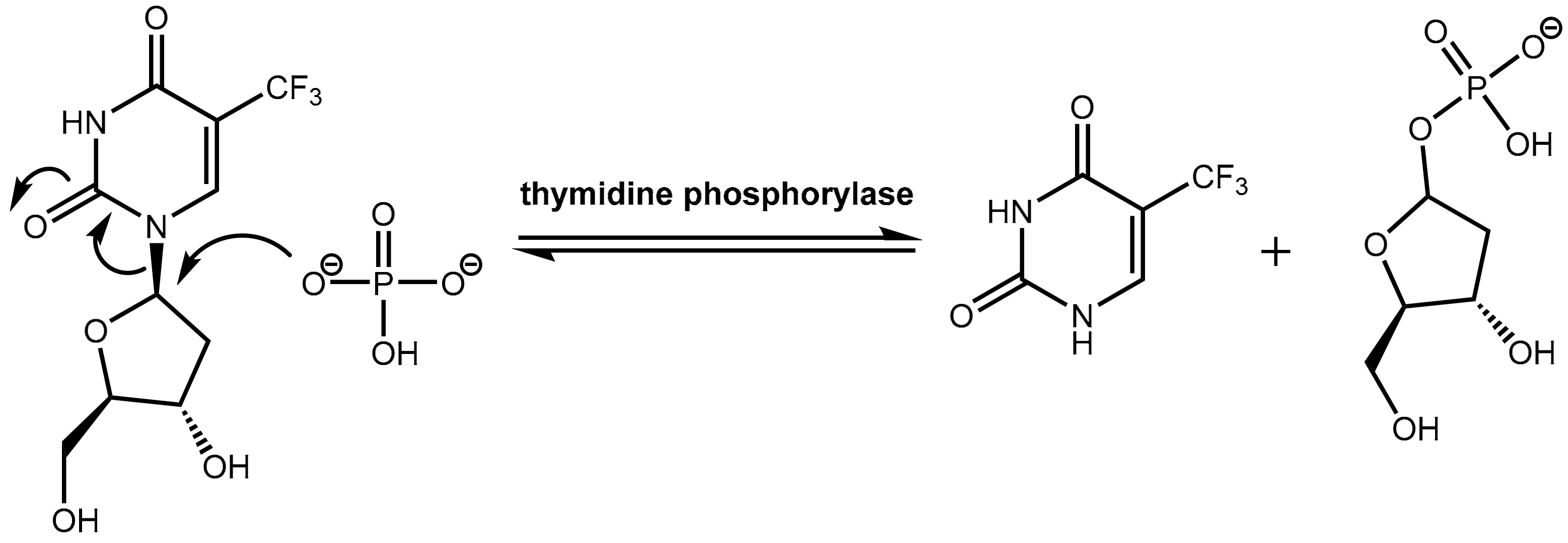 Scipharm 86 00043 g022