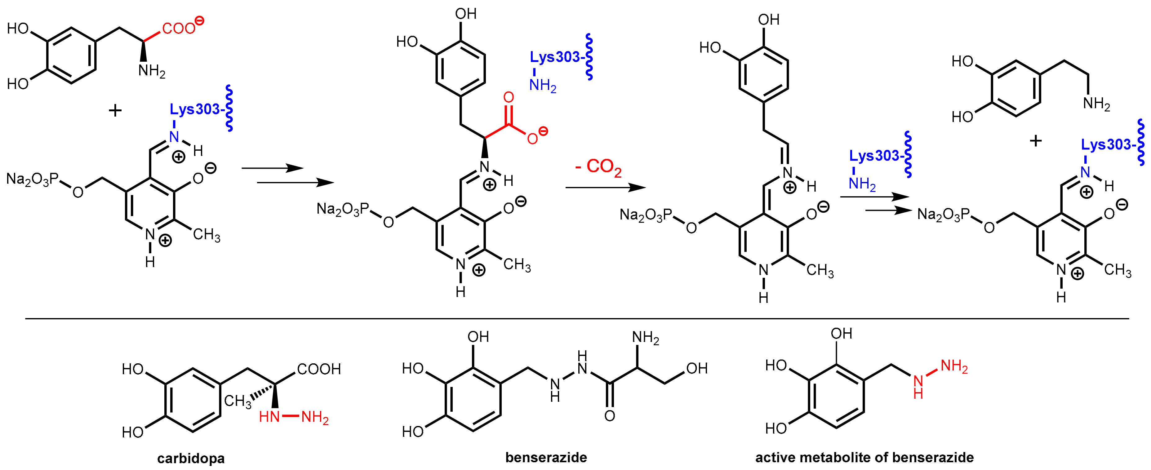Scipharm 86 00043 g025