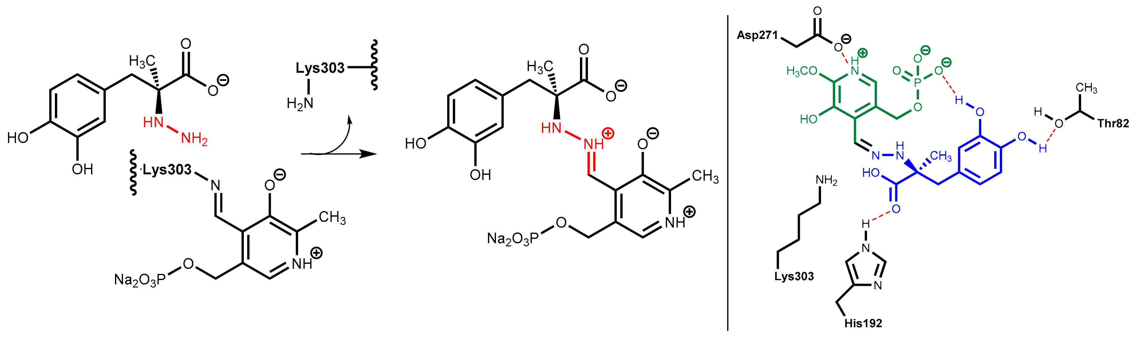 Scipharm 86 00043 g026