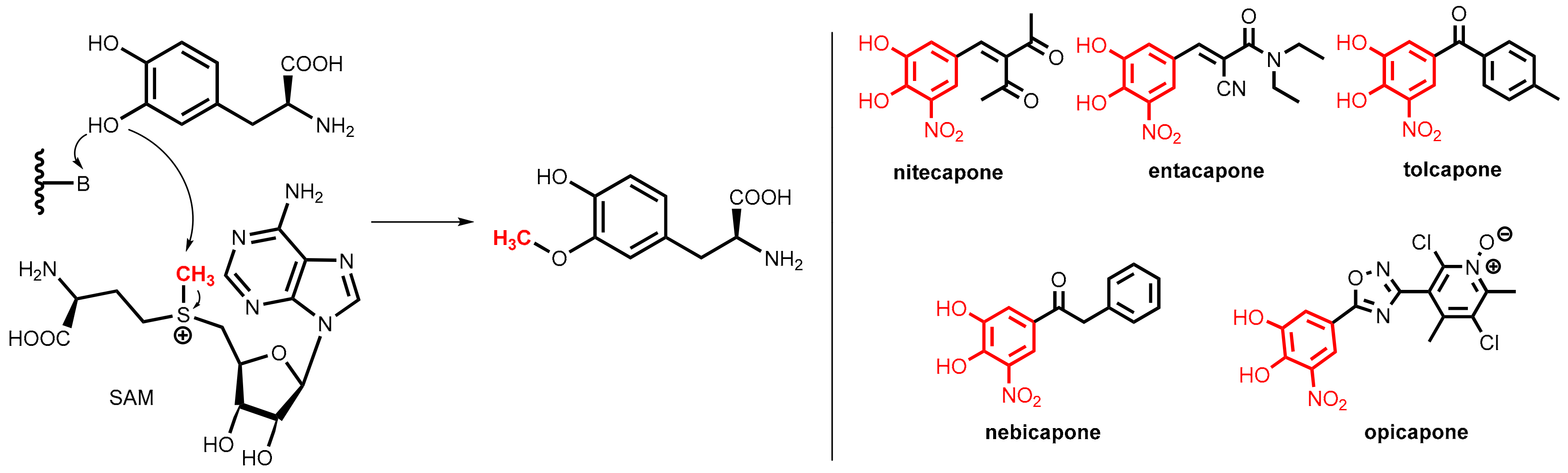 Scipharm 86 00043 g027