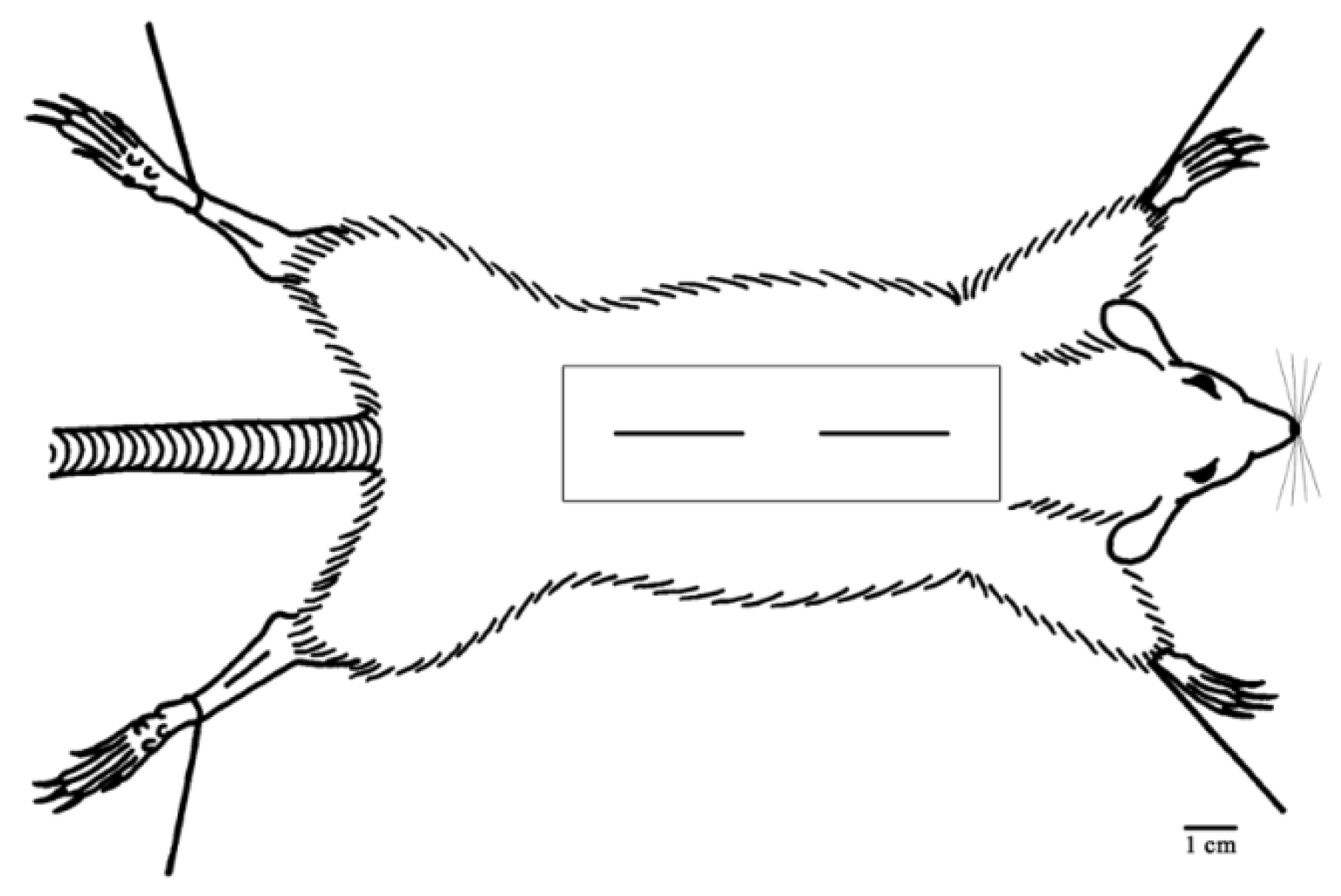 Scipharm 86 00045 g003