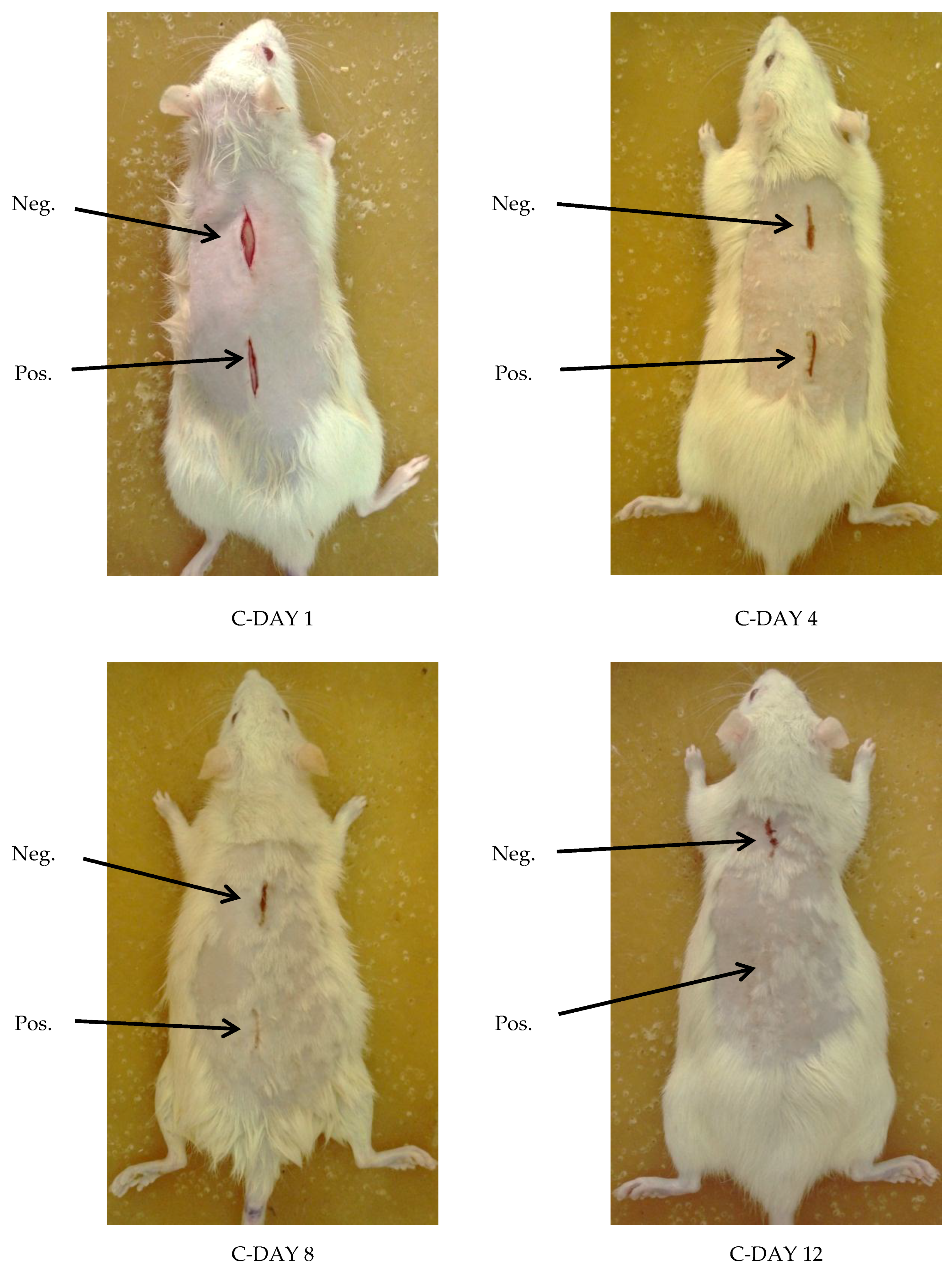 Scipharm 86 00045 g007