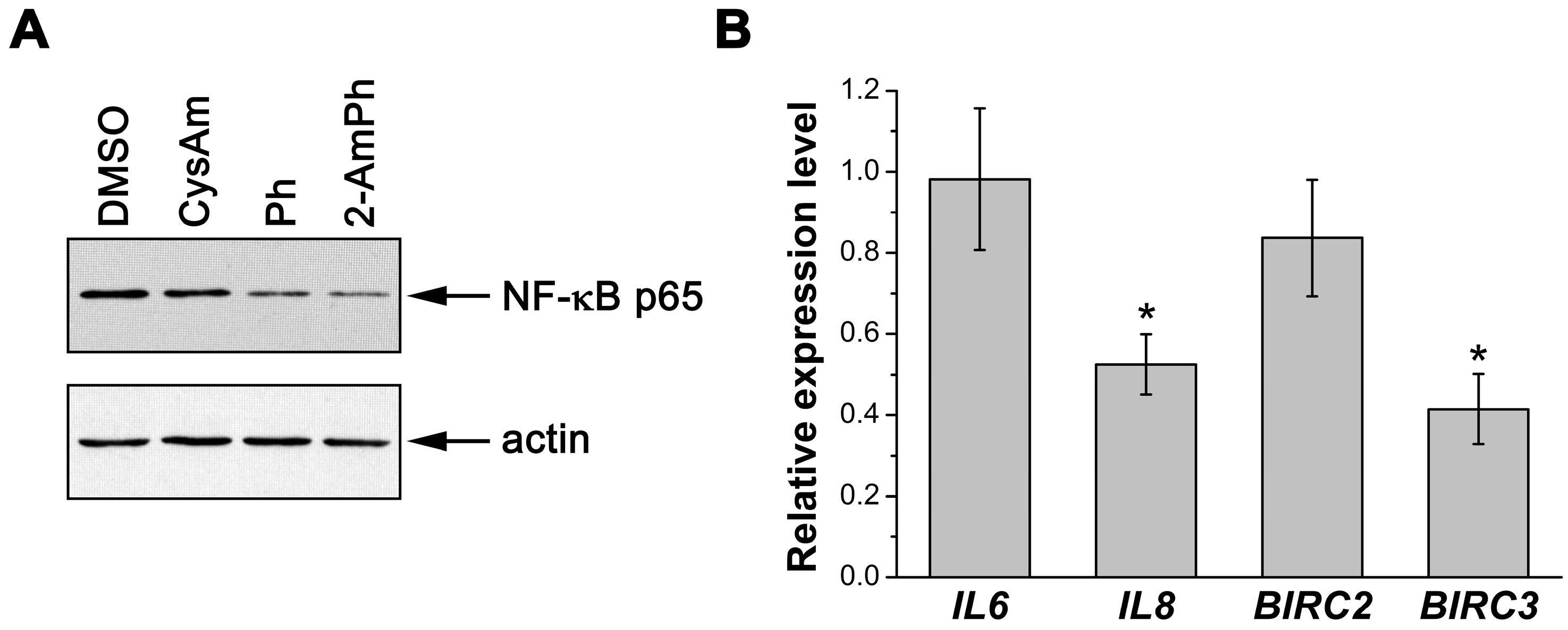 Scipharm 86 00046 g003