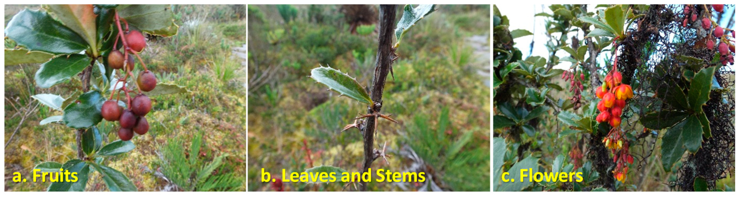 Scipharm 87 00002 g001