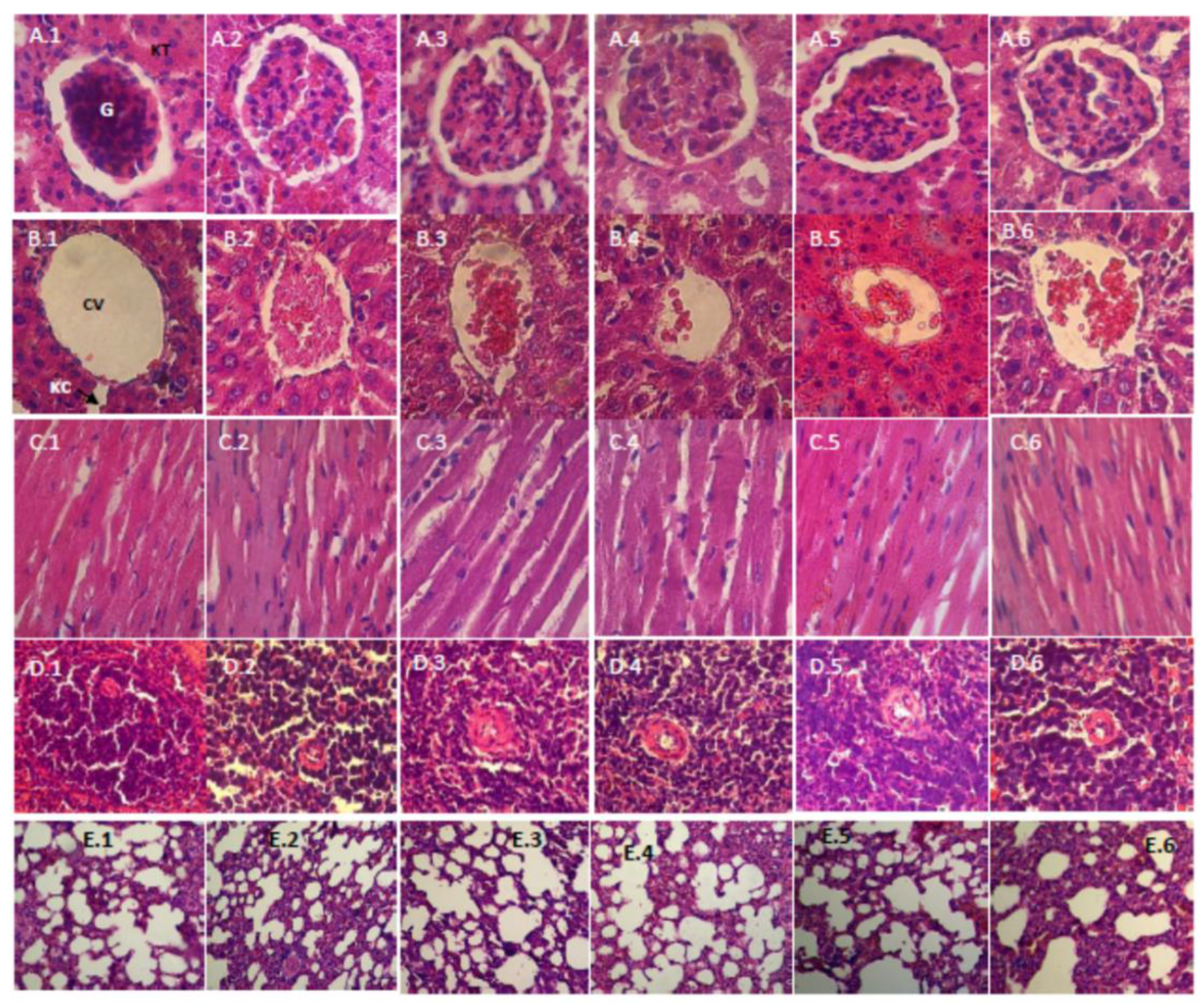 Scipharm 87 00009 g001