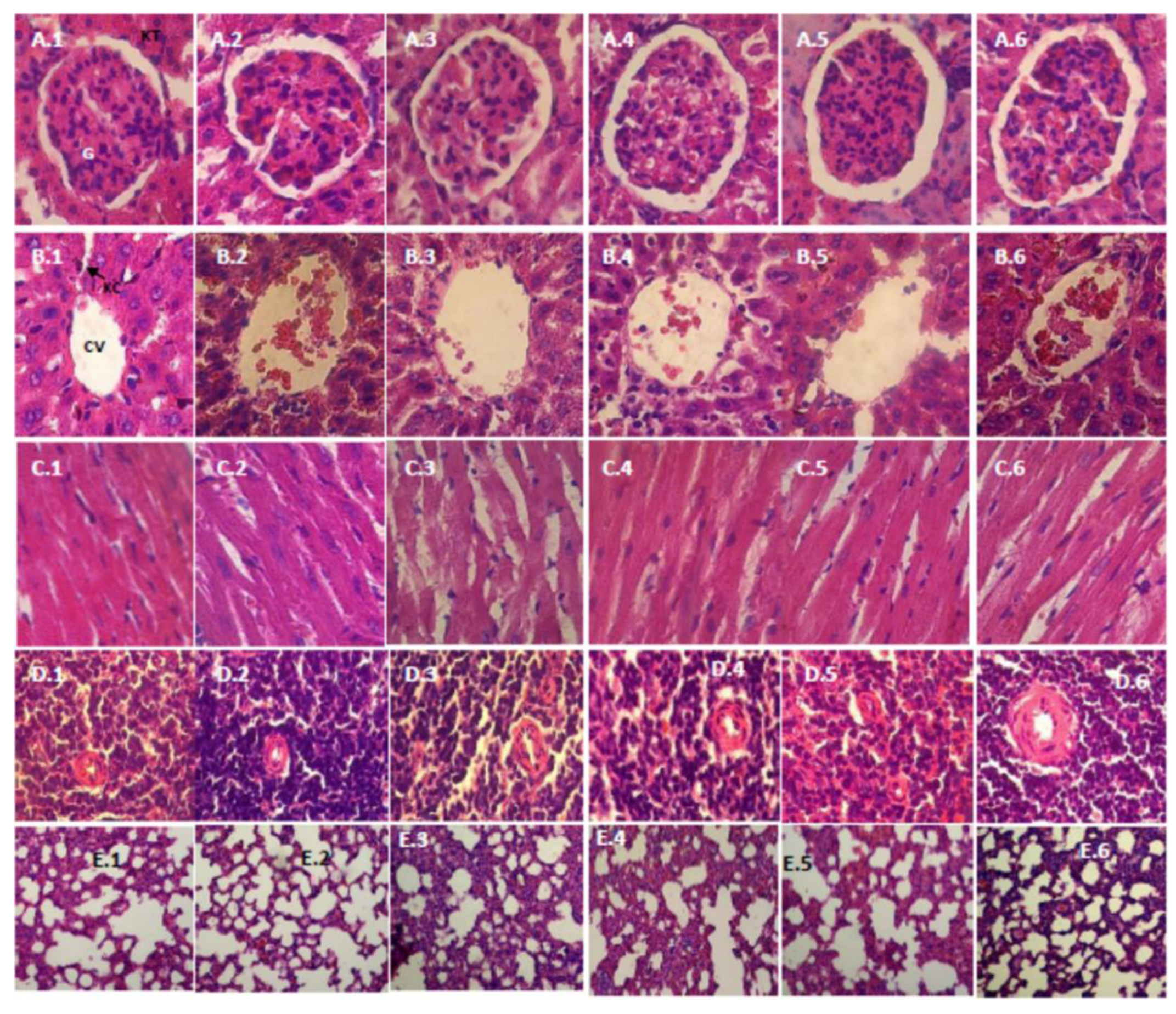 Scipharm 87 00009 g002