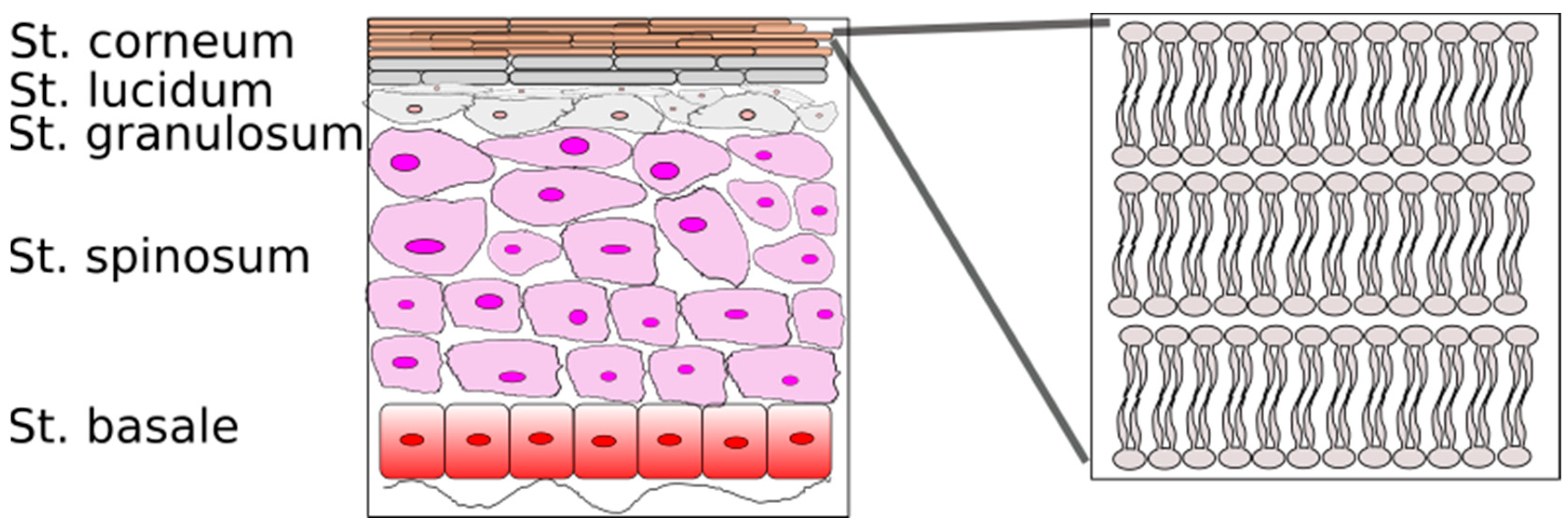 Scipharm 87 00019 g001
