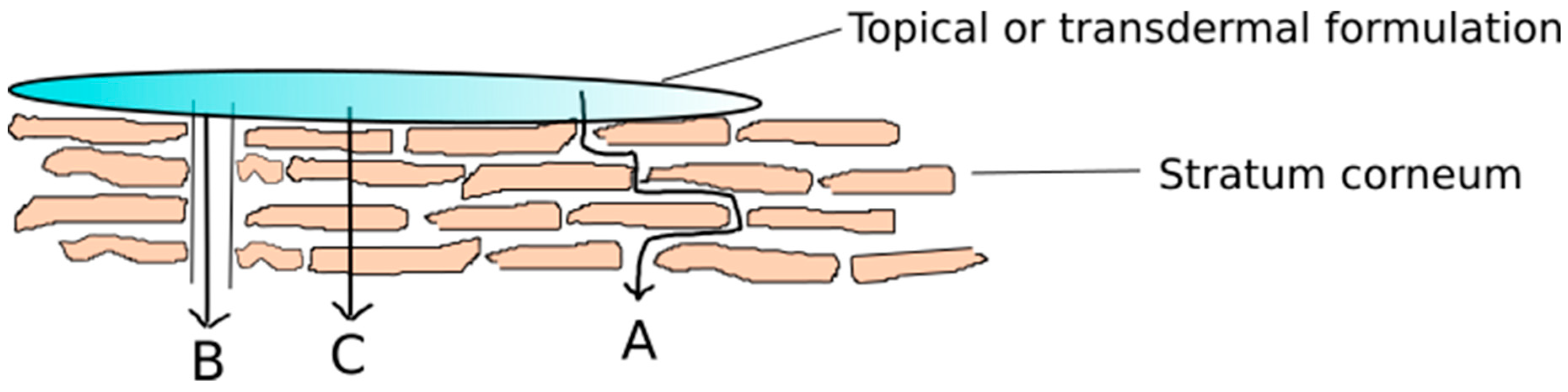 Scipharm 87 00019 g002