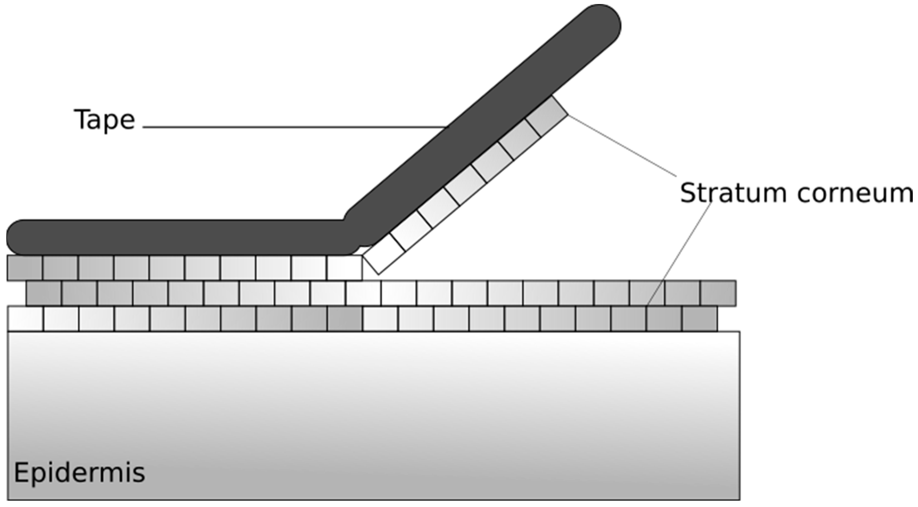 Scipharm 87 00019 g009