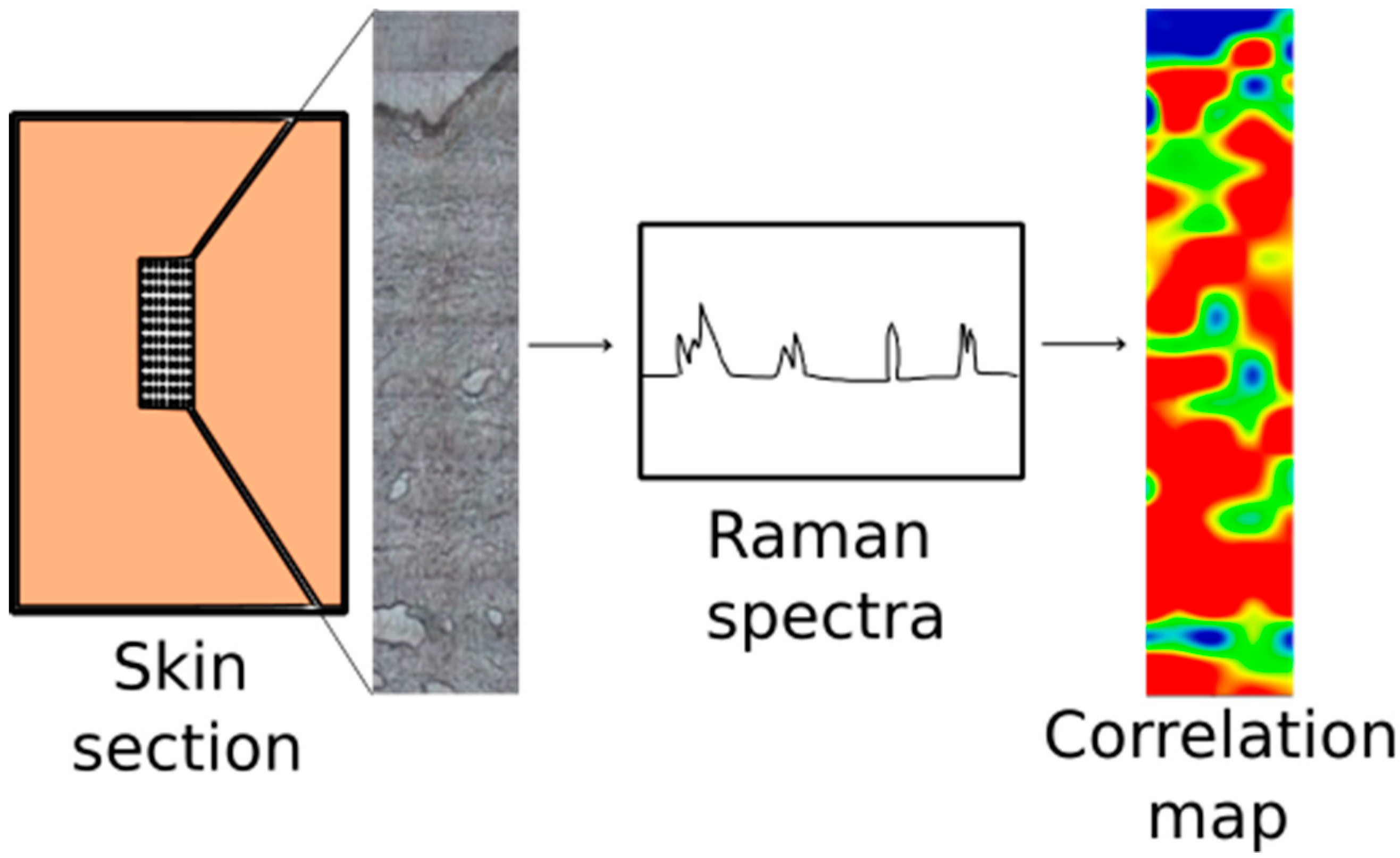Scipharm 87 00019 g010