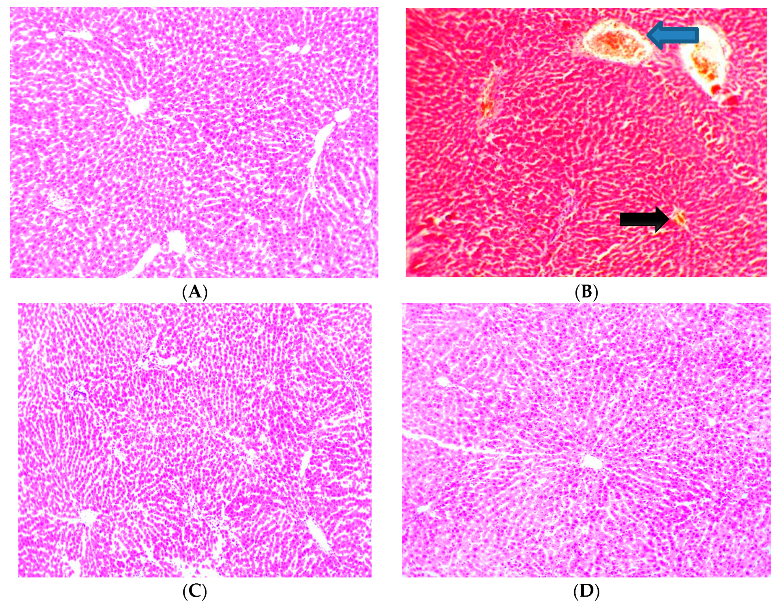 Scipharm 87 00024 g007a