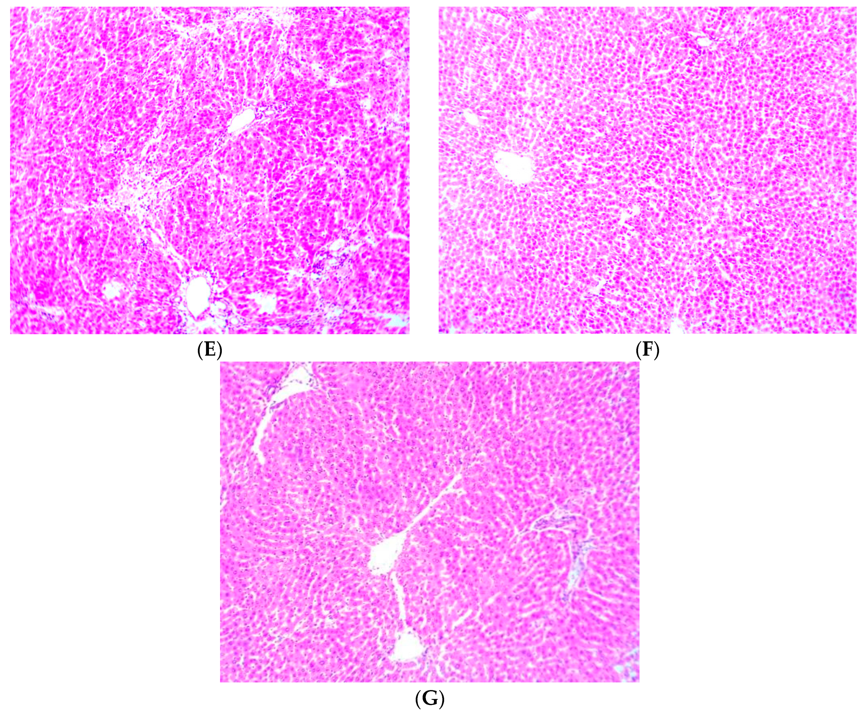 Scipharm 87 00024 g007b