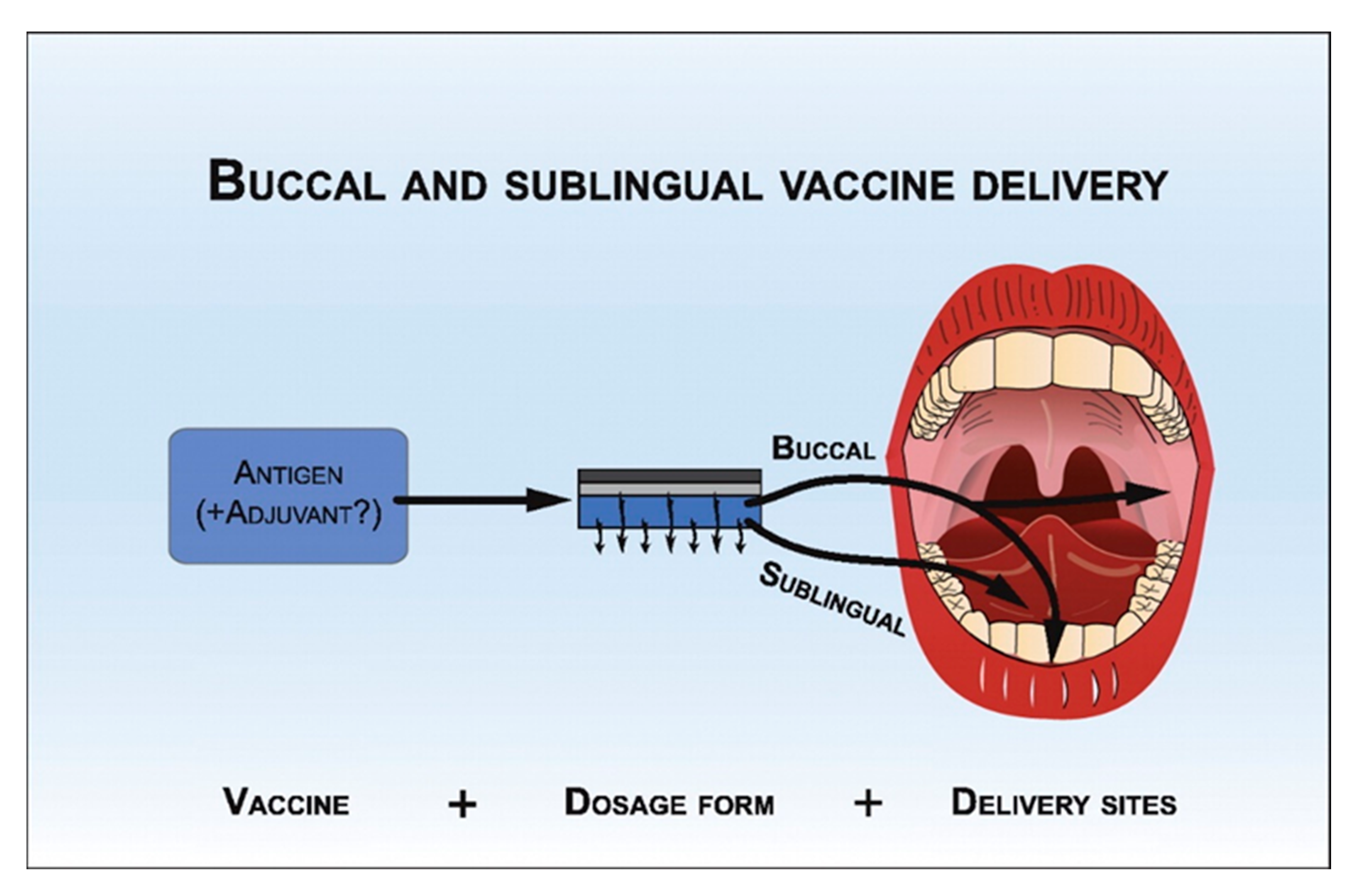 Scipharm 87 00027 g003