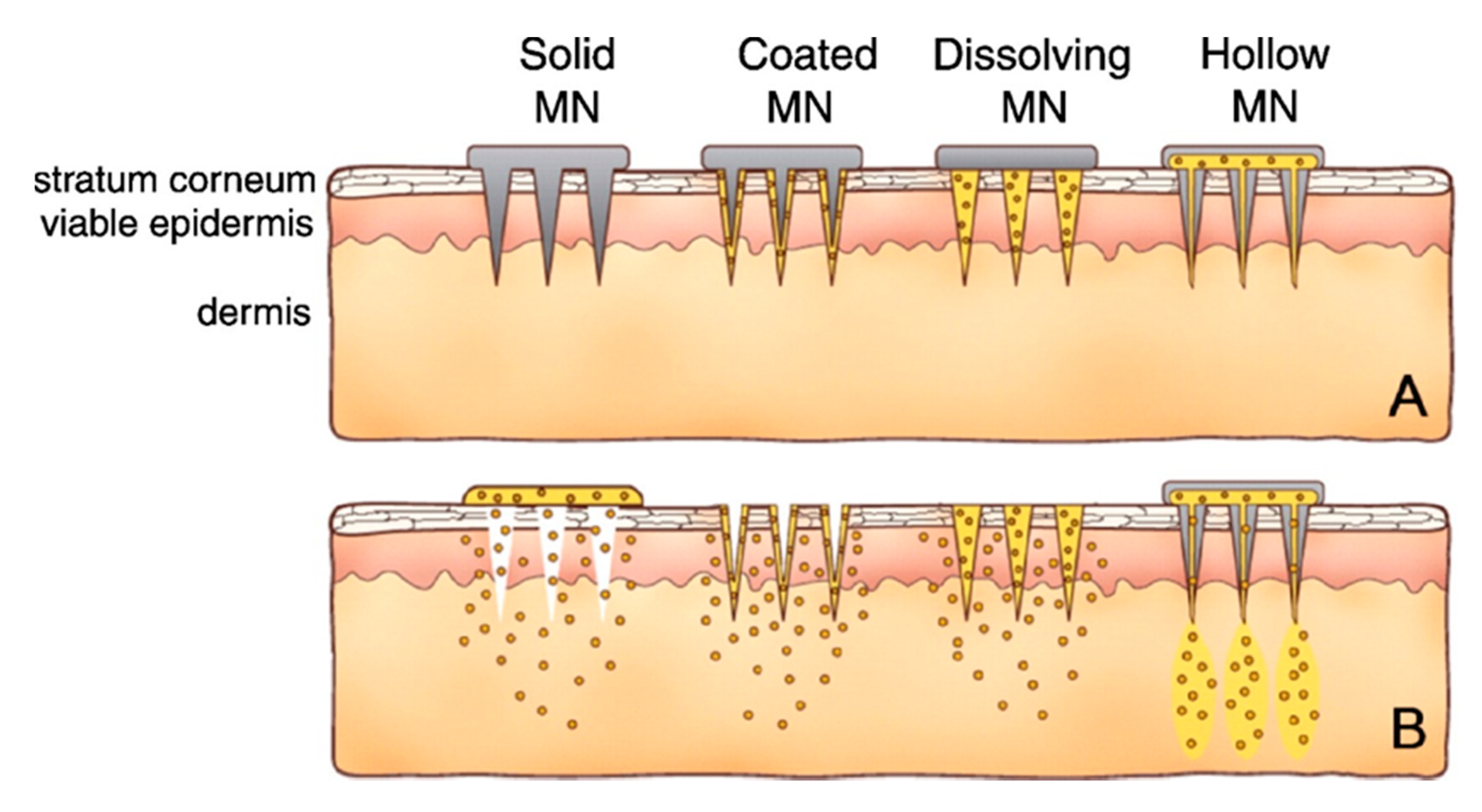 Scipharm 87 00027 g004