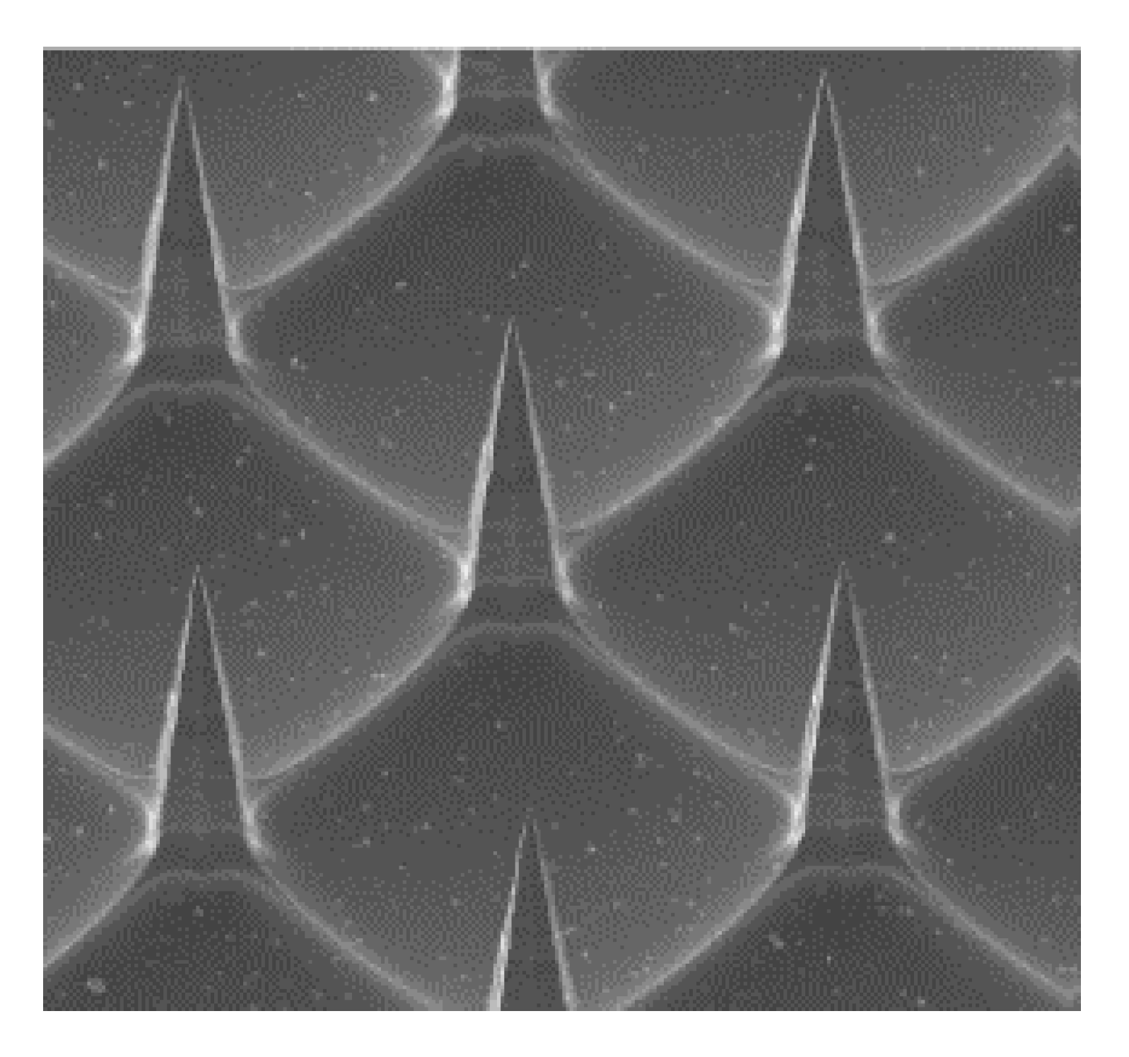 Scipharm 87 00027 g005