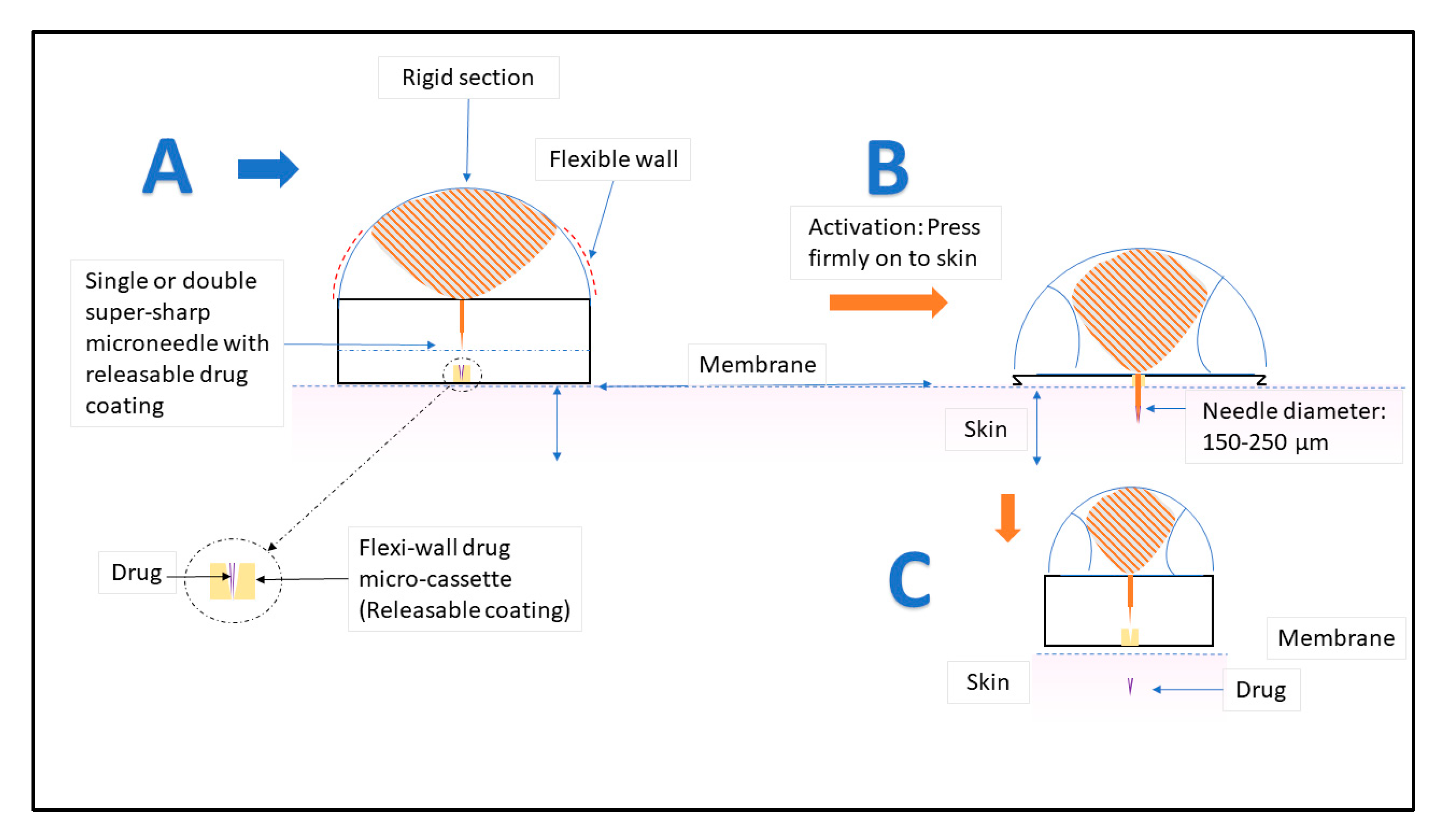 Scipharm 87 00027 g007