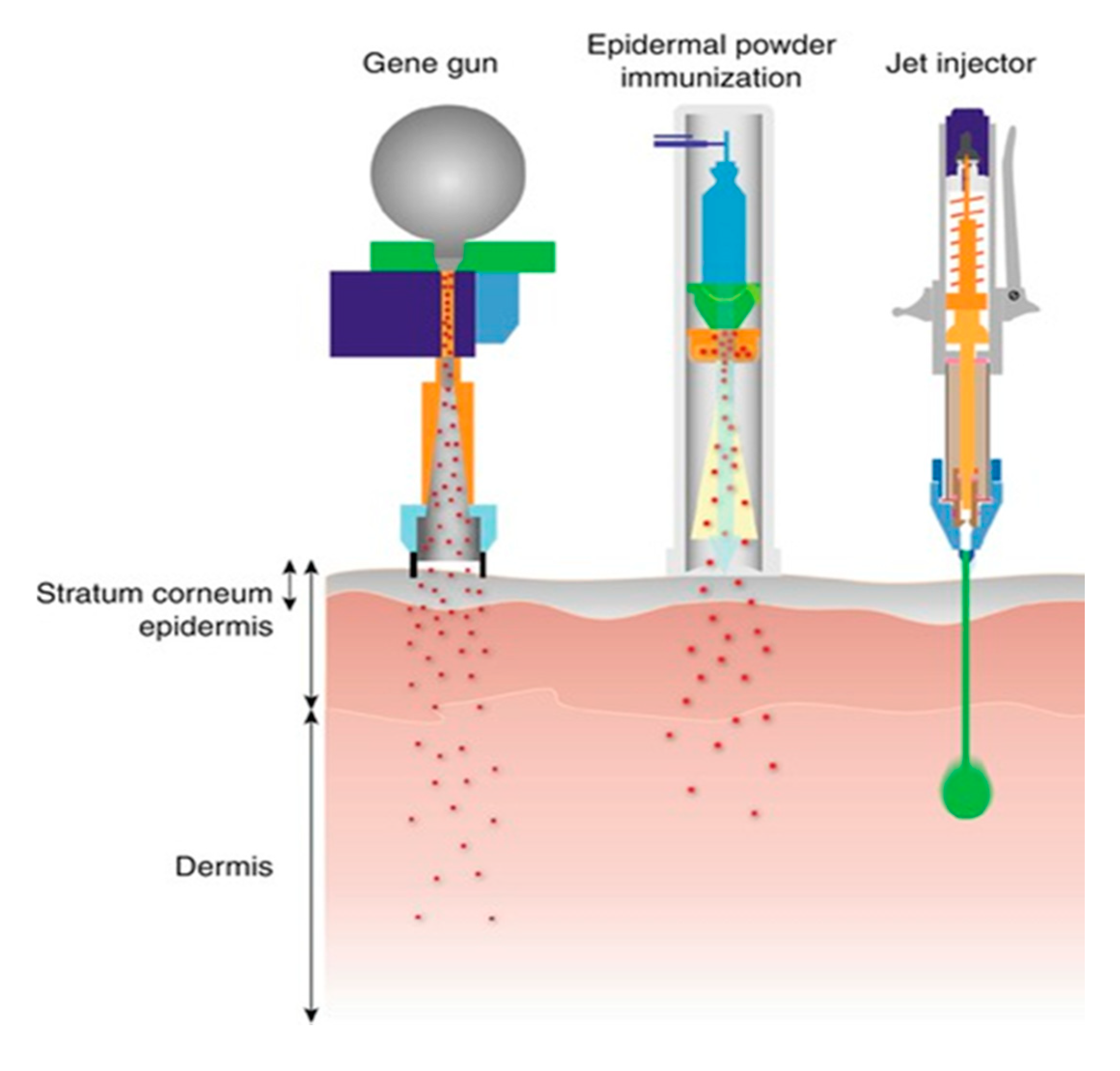 Scipharm 87 00027 g009