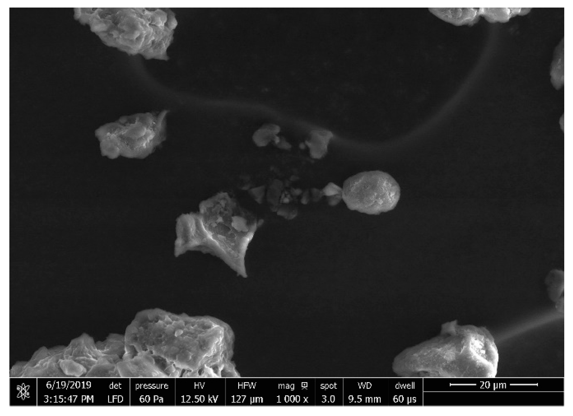 Scipharm 87 00032 g002