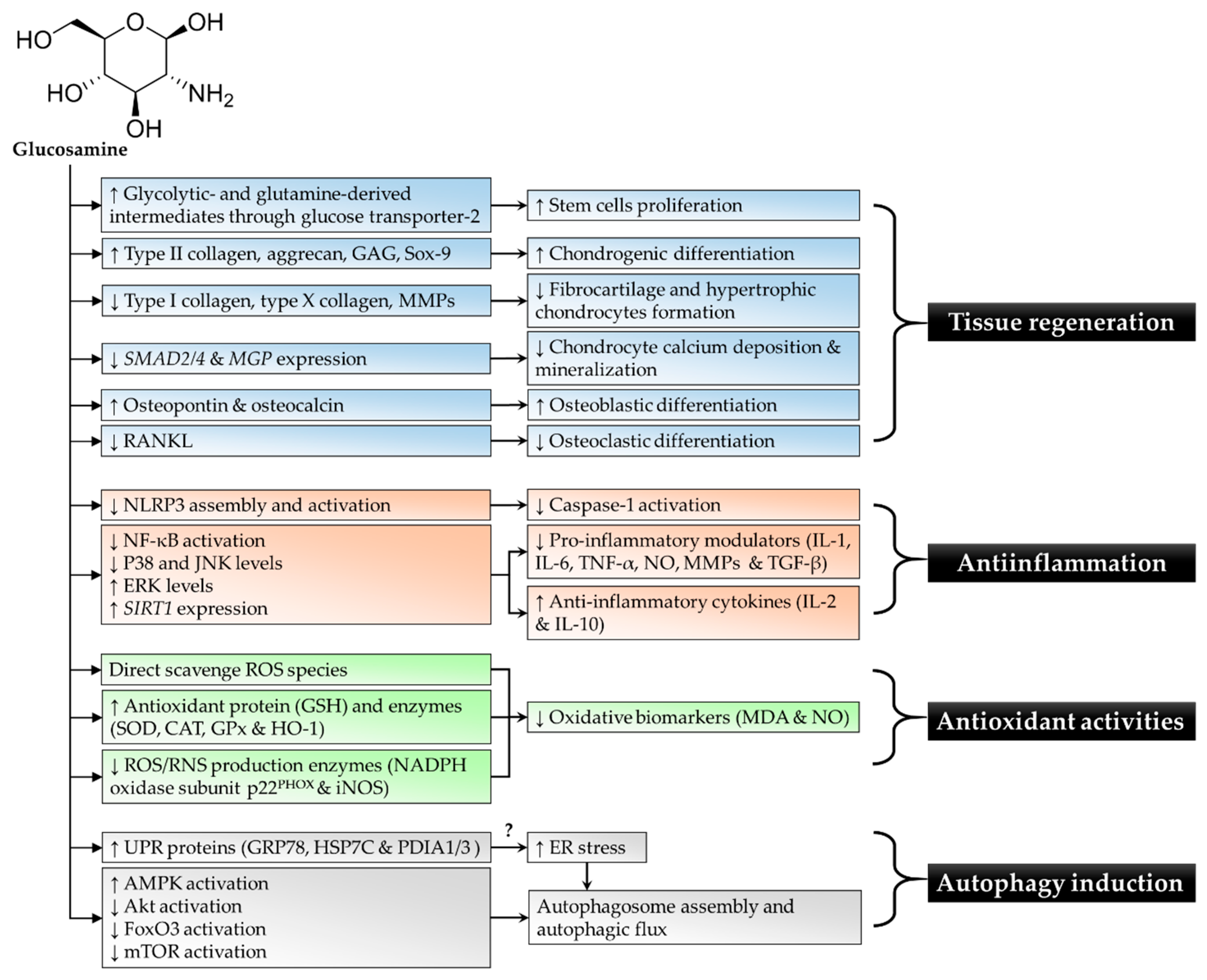 Scipharm 87 00034 g001
