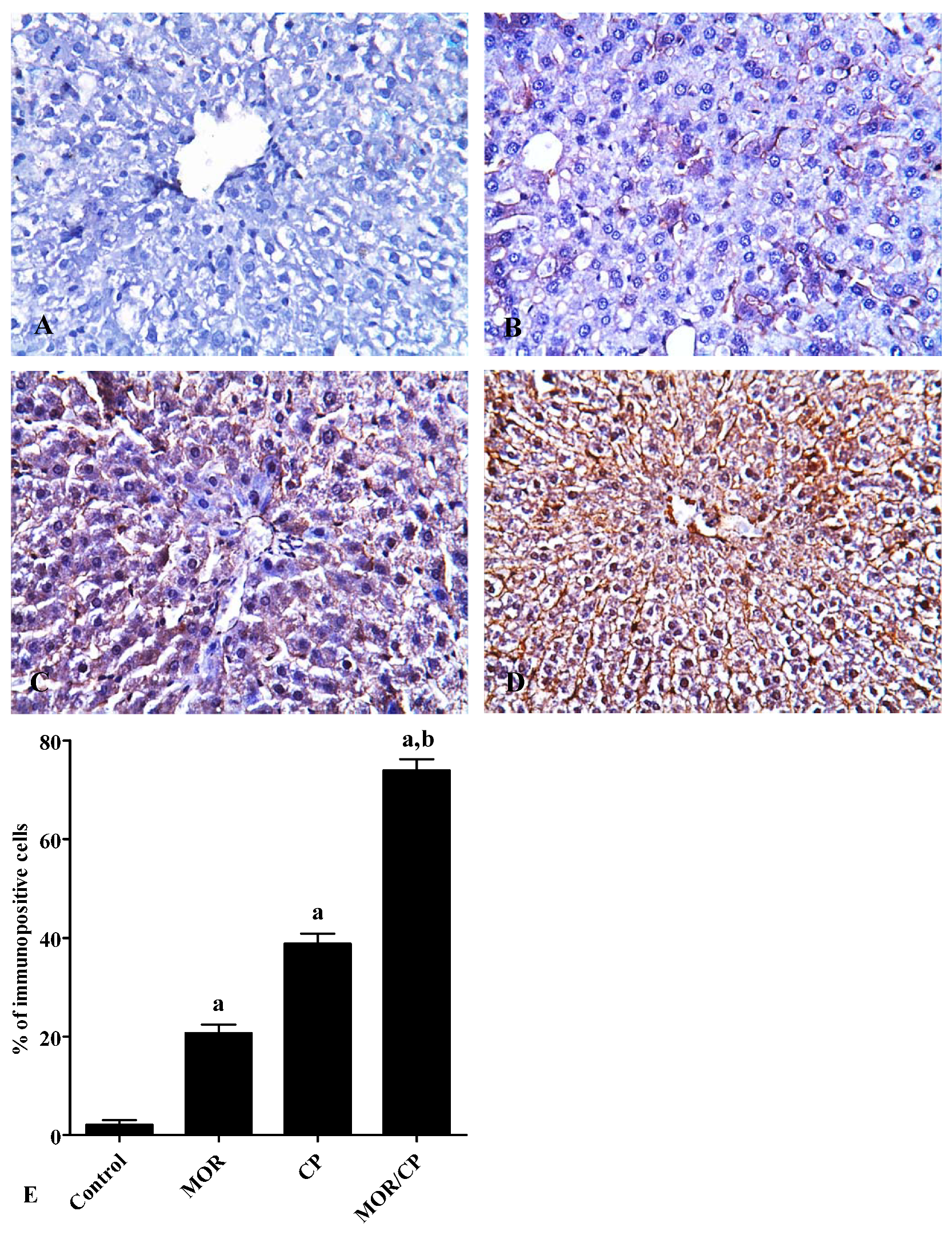 Scipharm 88 00014 g002 Scipharm 88 00014 g002