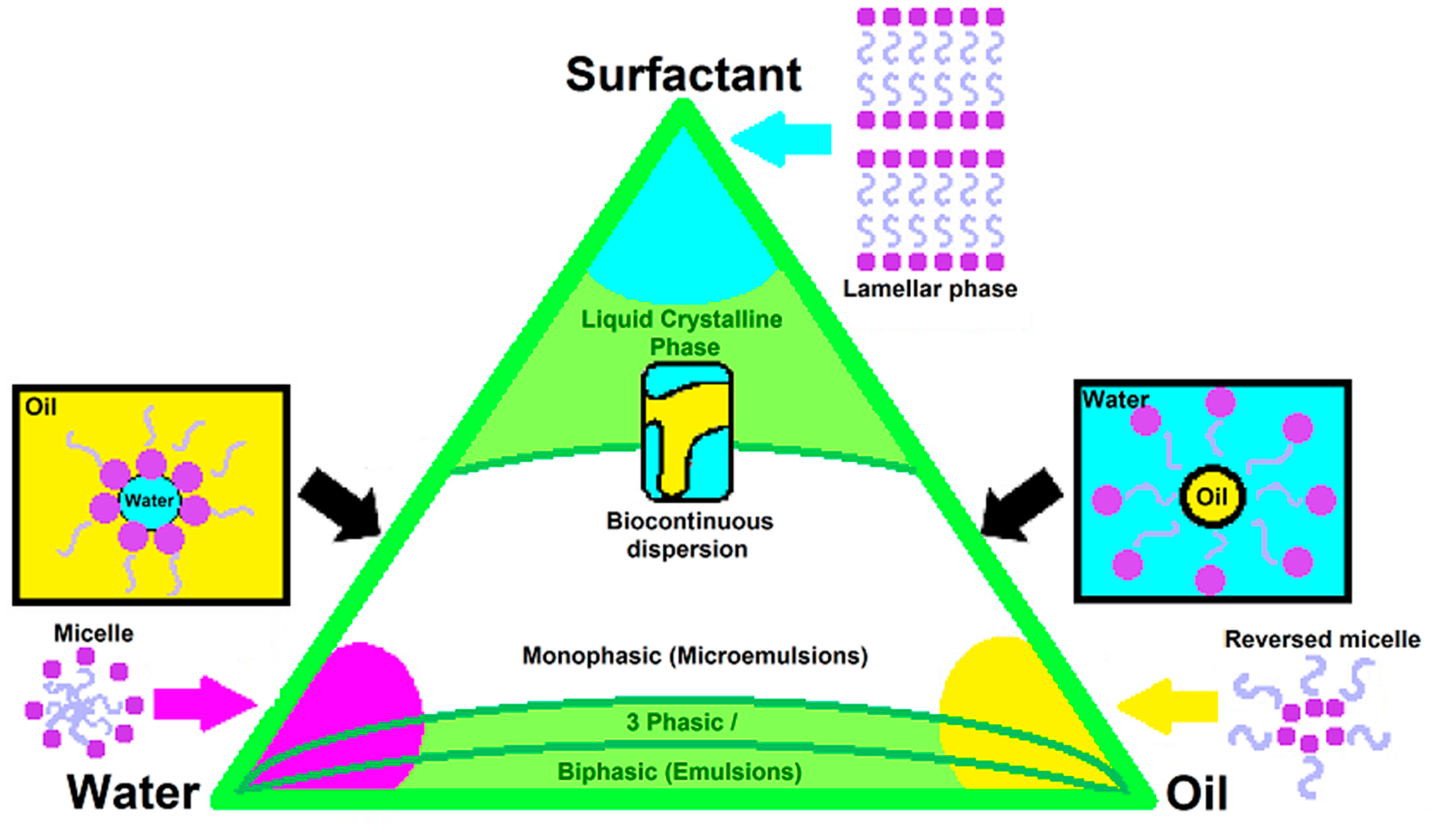 Scipharm 88 00017 g003