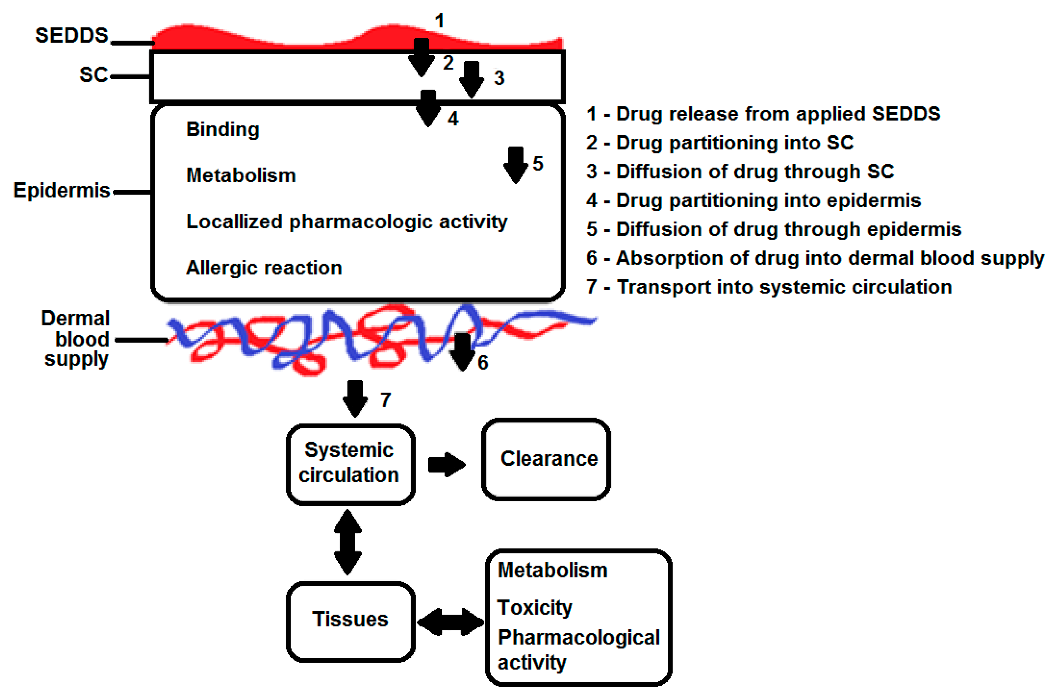 Scipharm 88 00017 g004