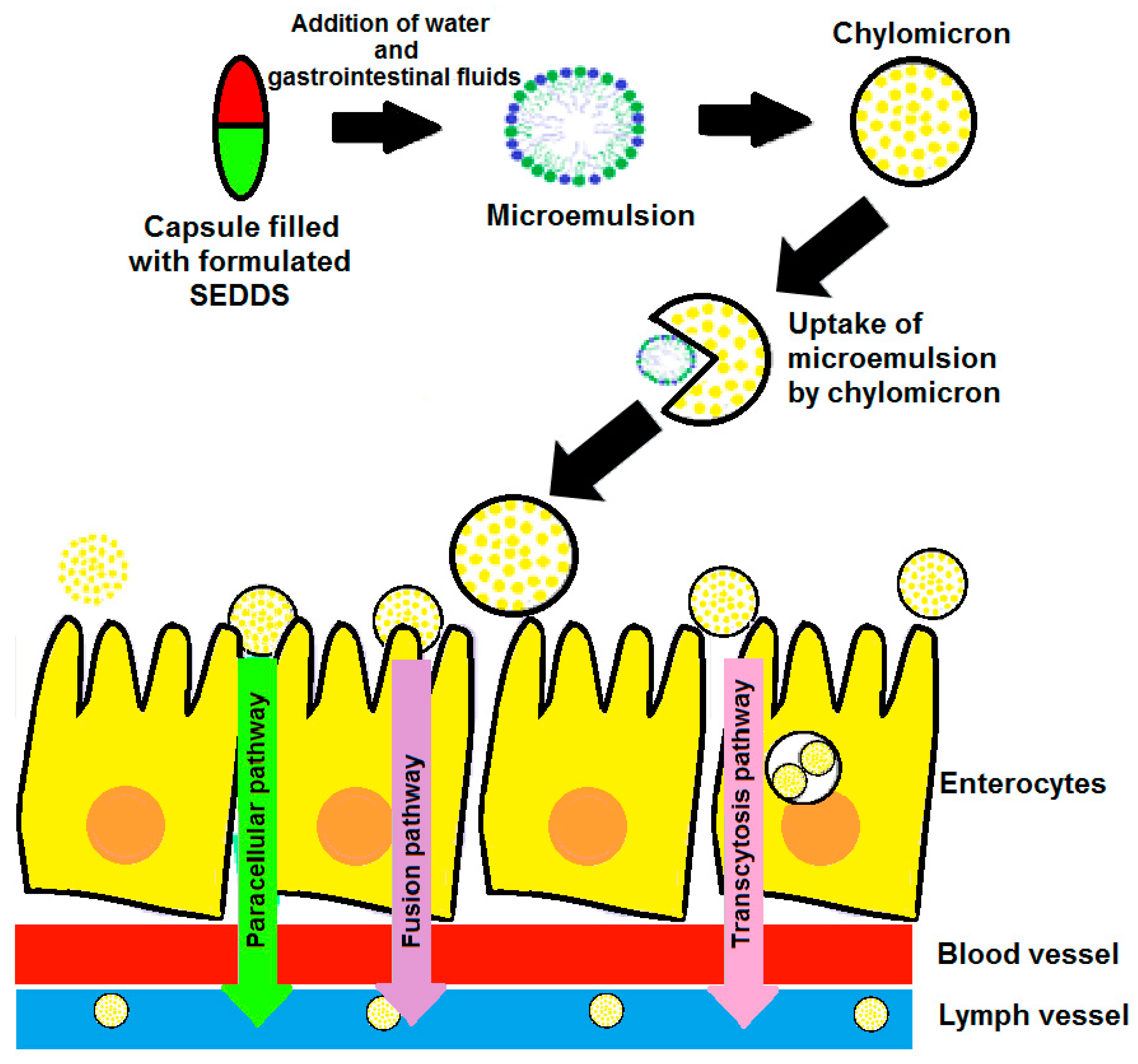 Scipharm 88 00017 g005