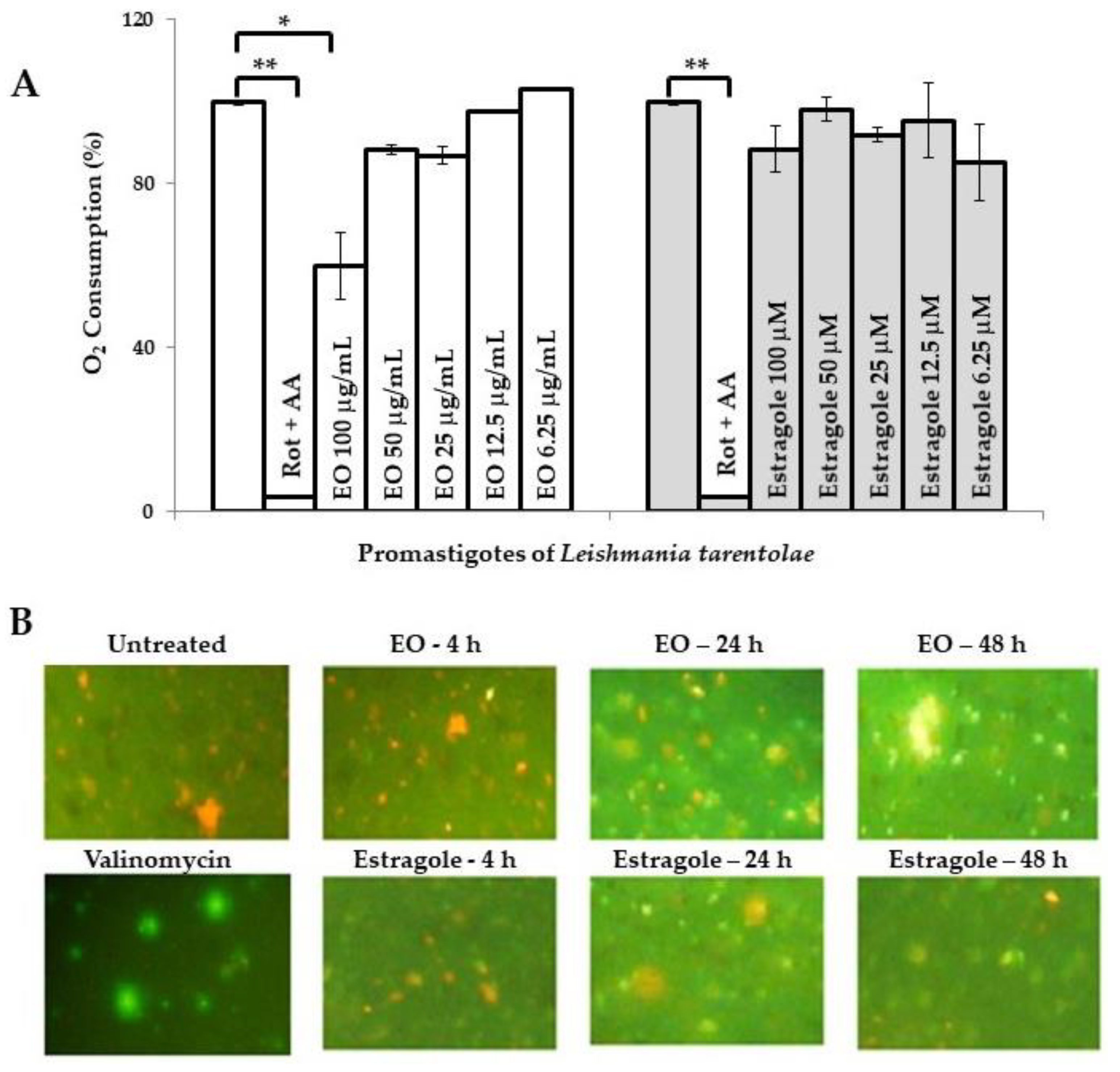 Scipharm 88 00031 g001
