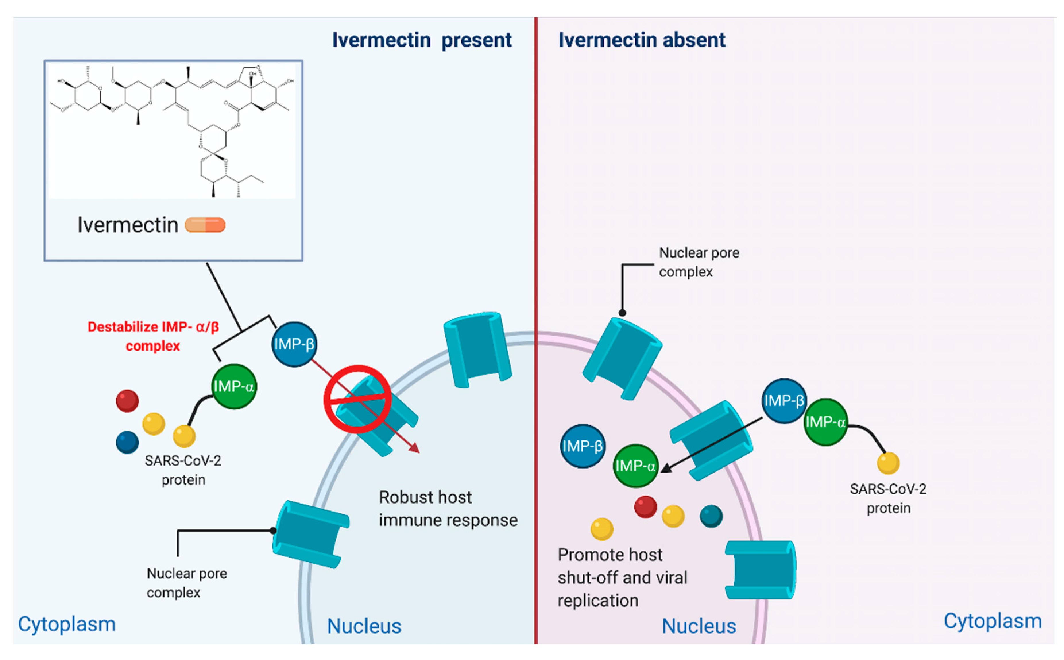 Scipharm 88 00036 g001