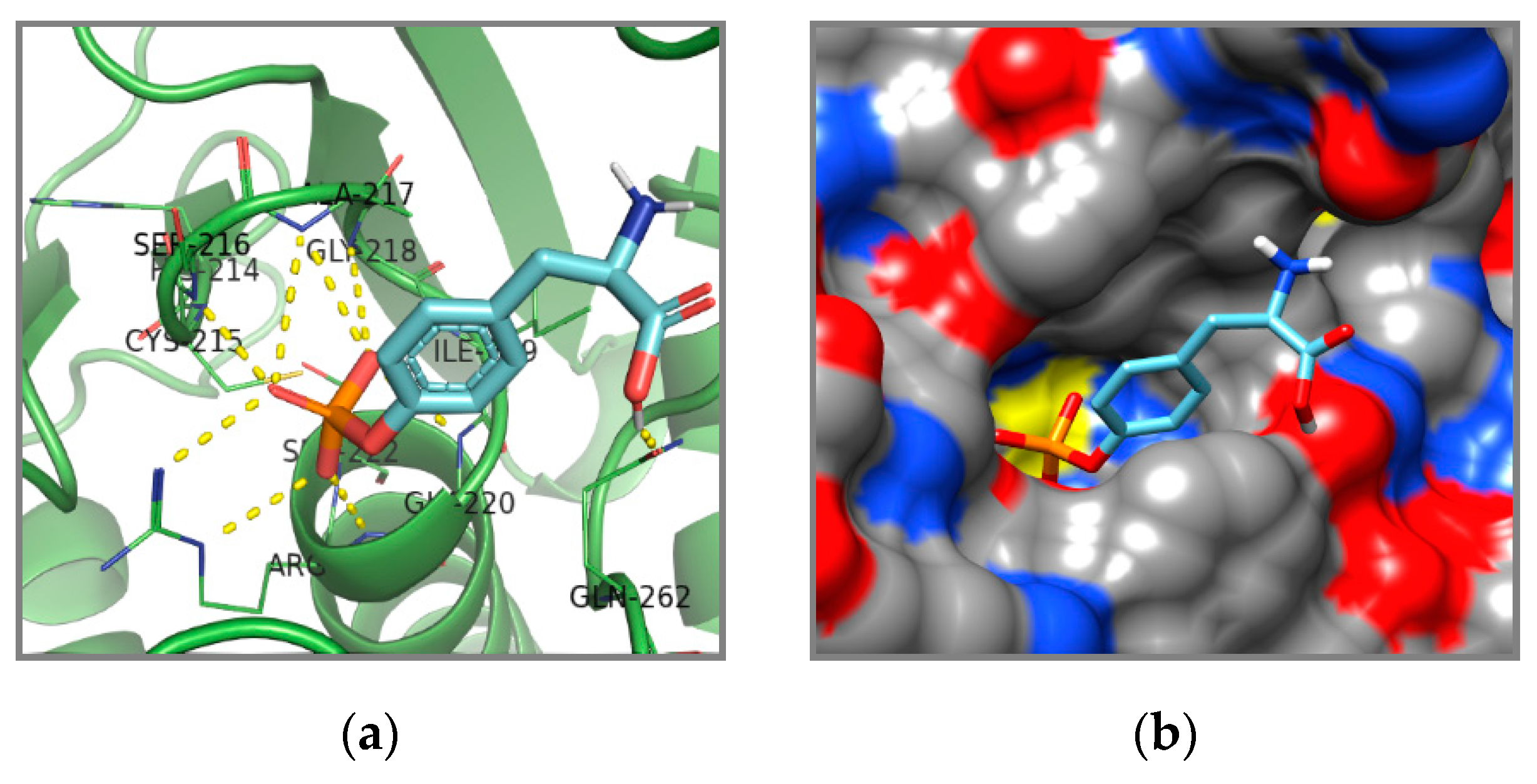 Scipharm 88 00037 g006