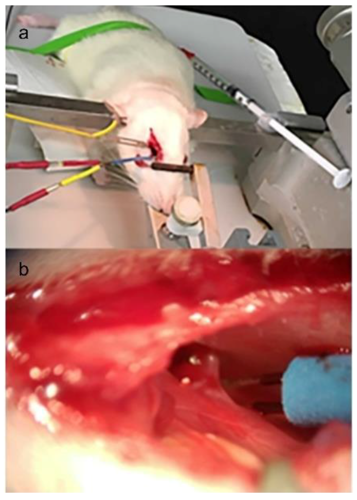 Scipharm 88 00040 g001