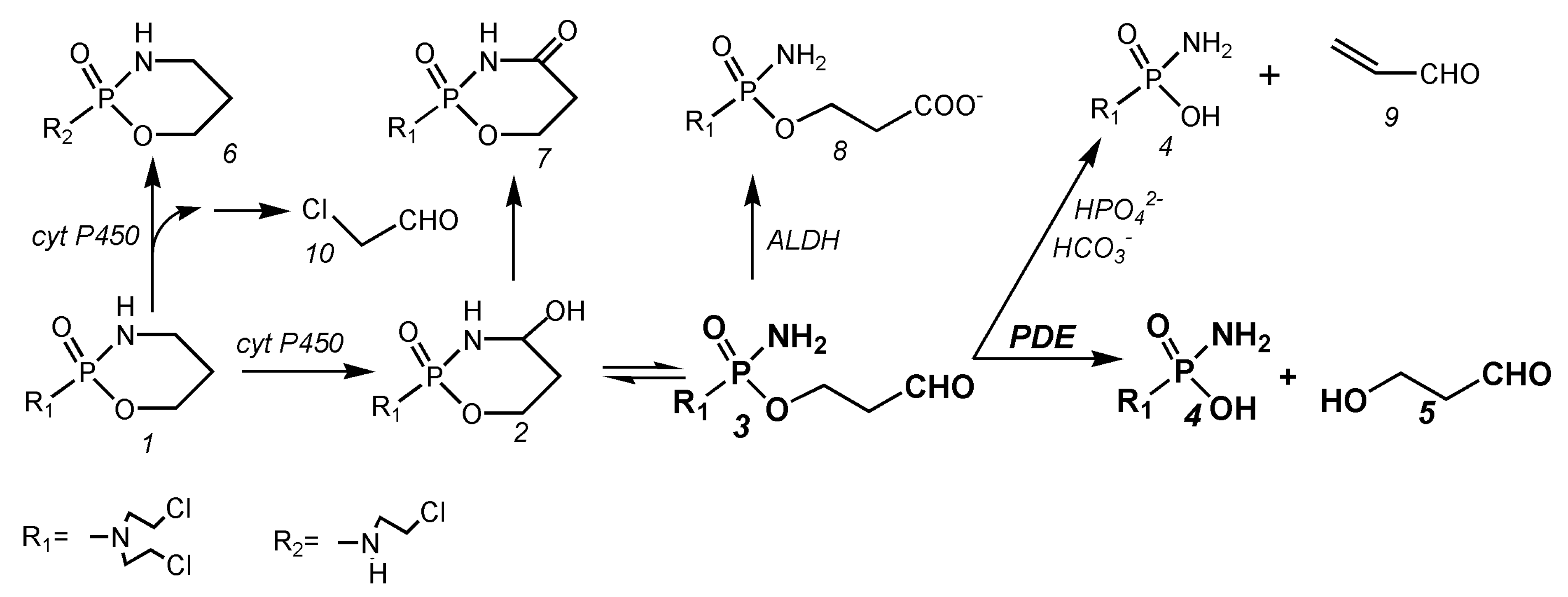 Scipharm 88 00042 g001